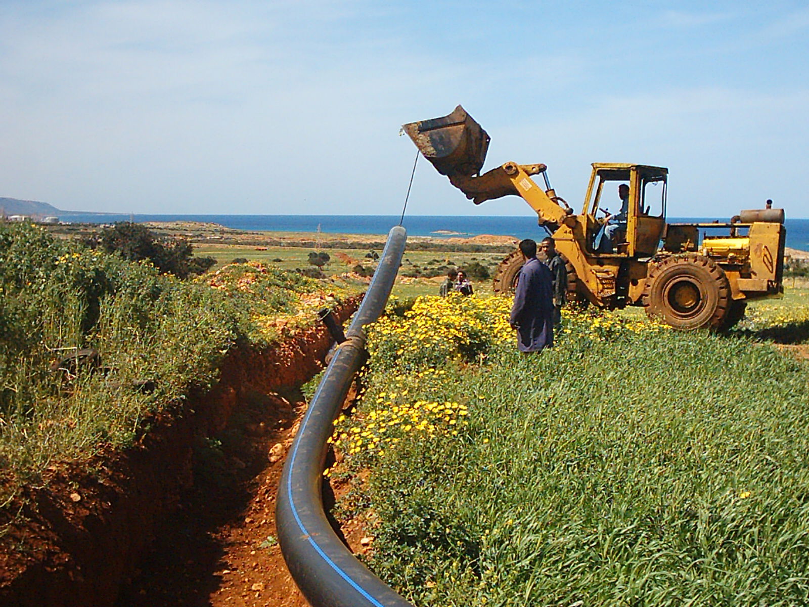 One of the previous works of the shield group