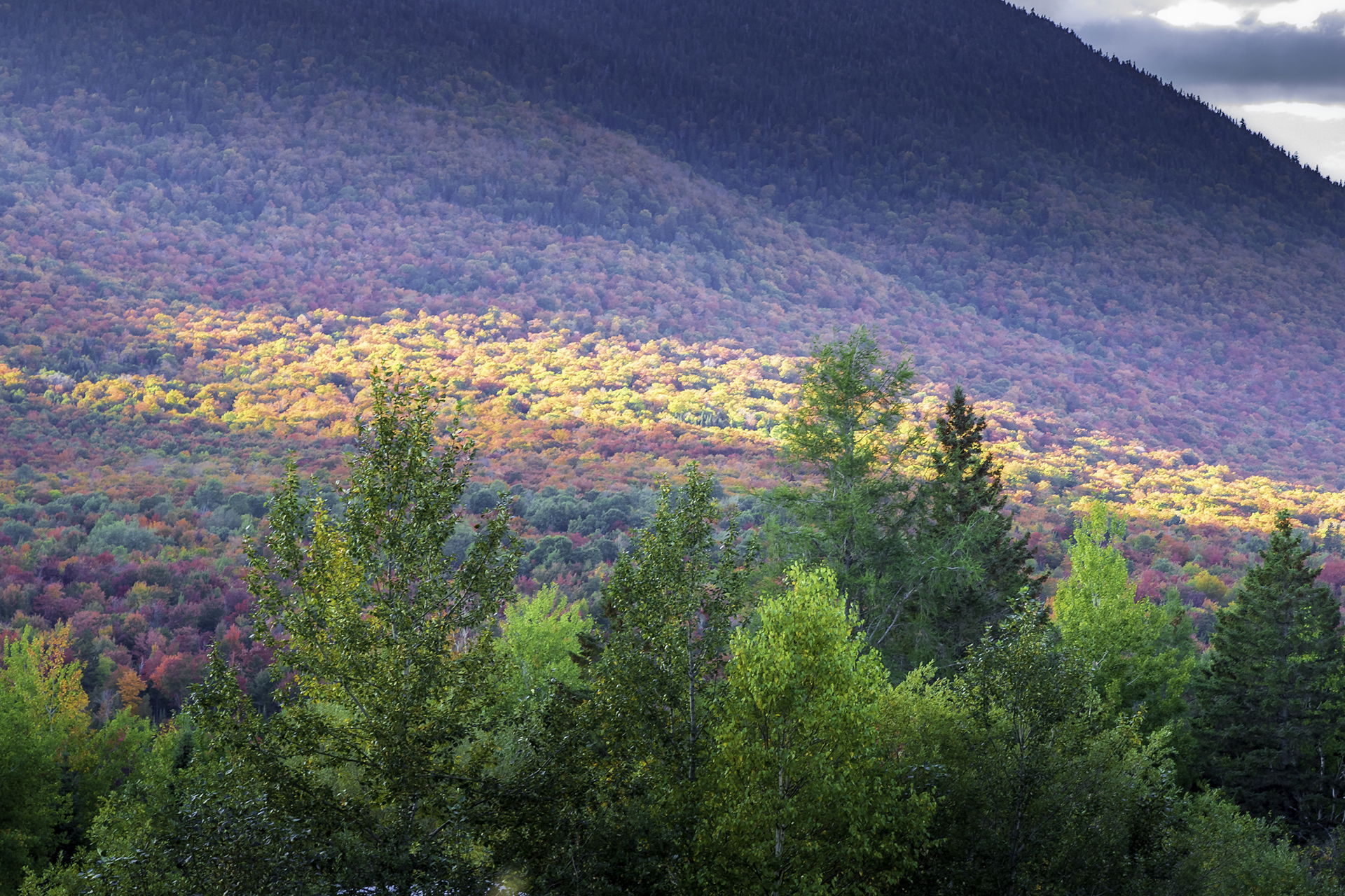 Landscapes of Haut-Saint-François
