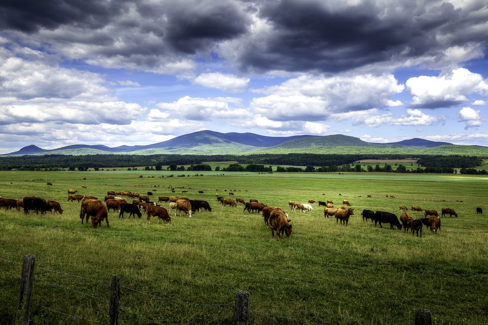 Landscapes of Haut-Saint-François