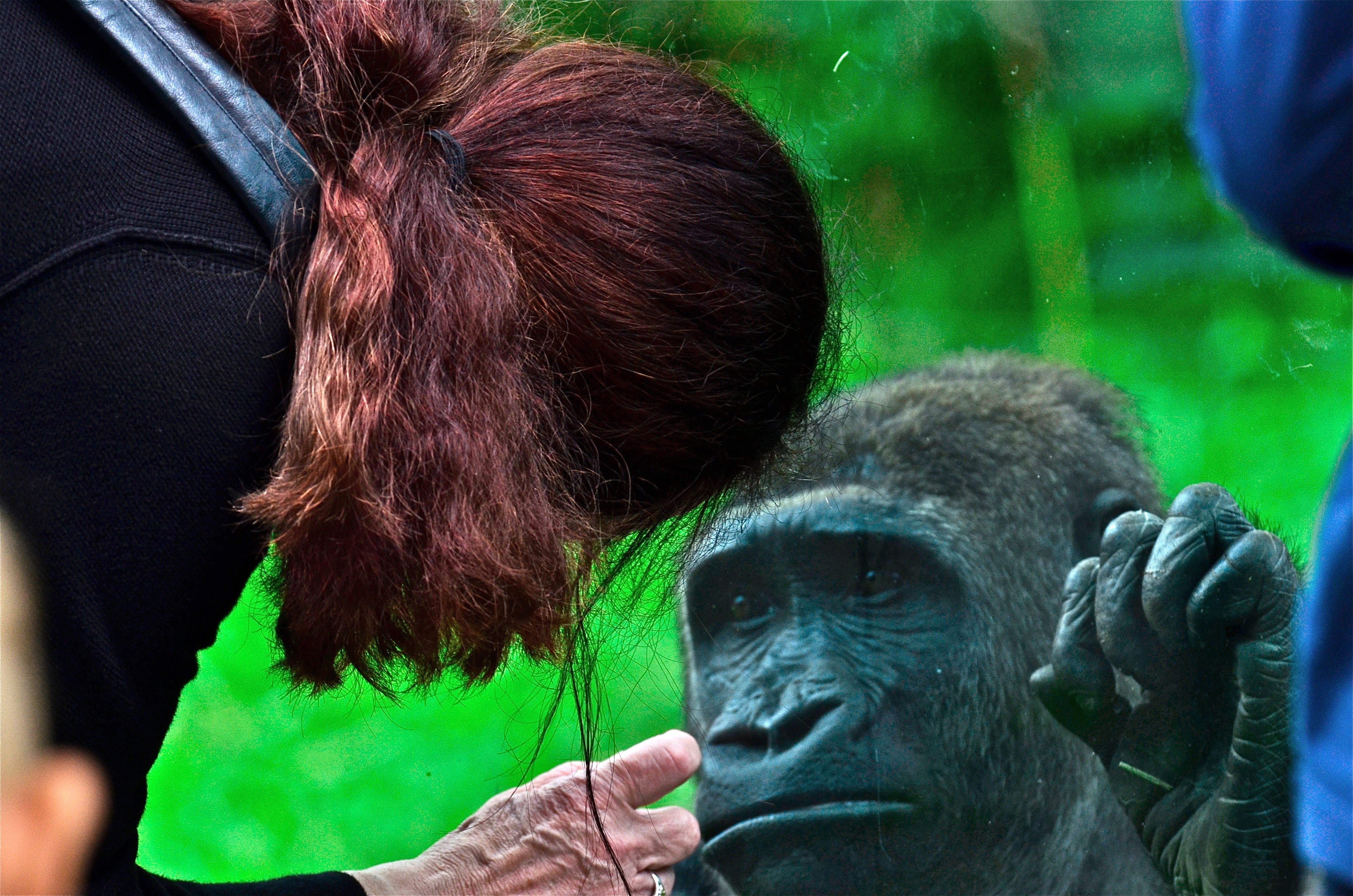 women |  Almut Adler