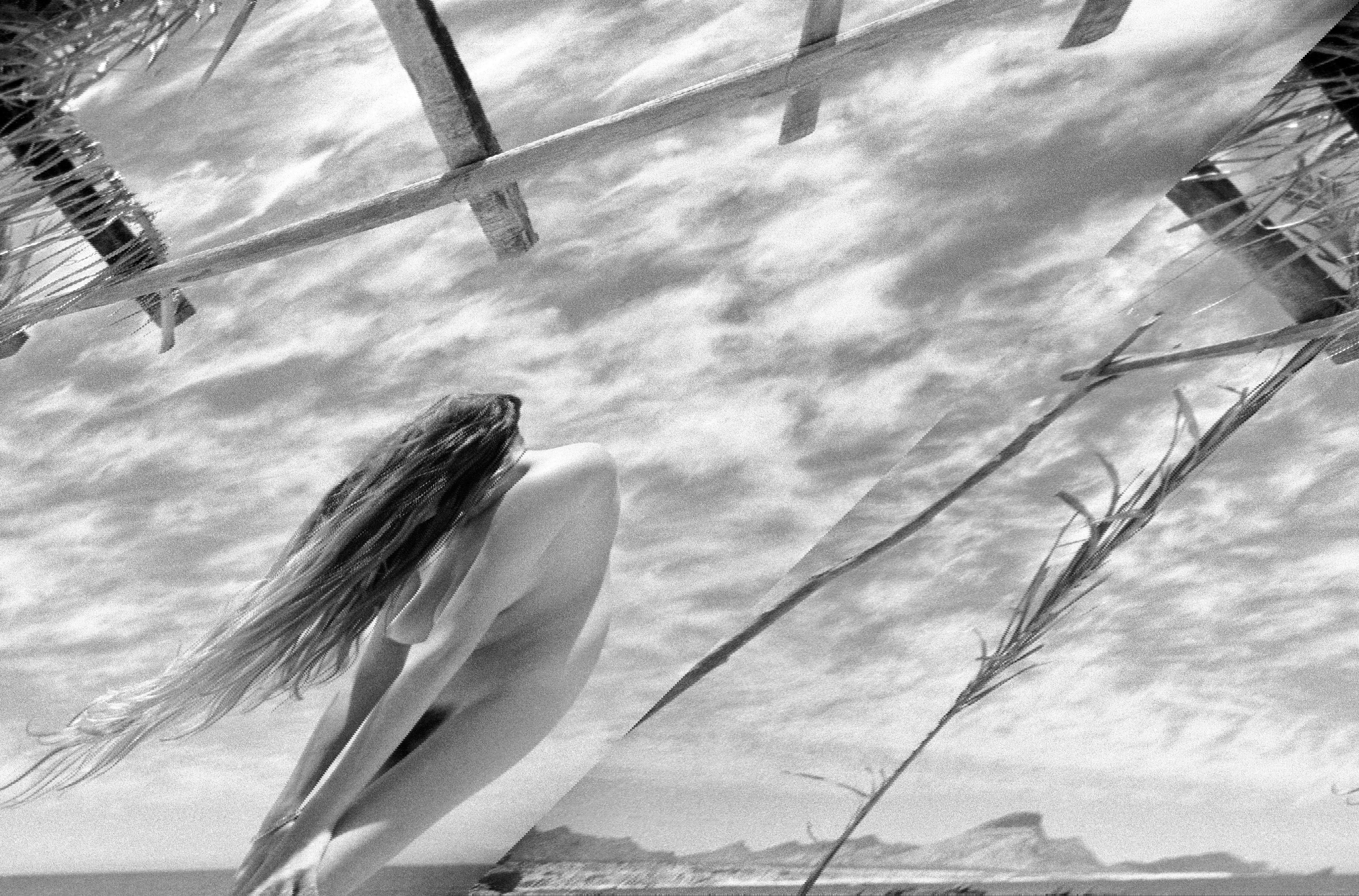 black and white | Photos  Almut Adler