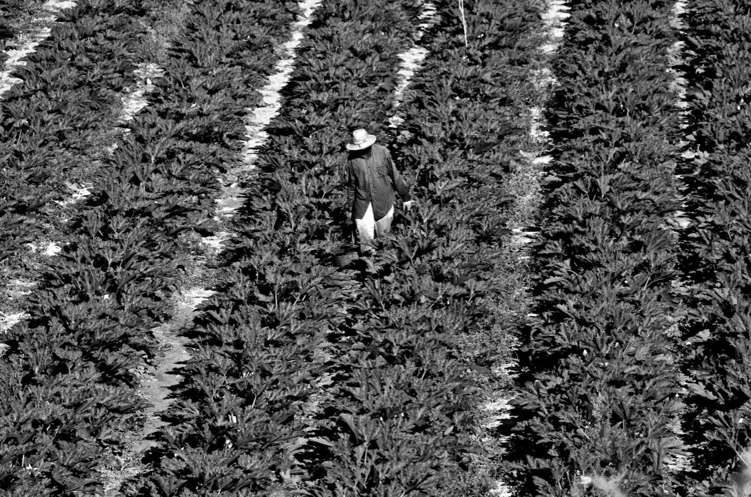 black and white | Photos  Almut Adler