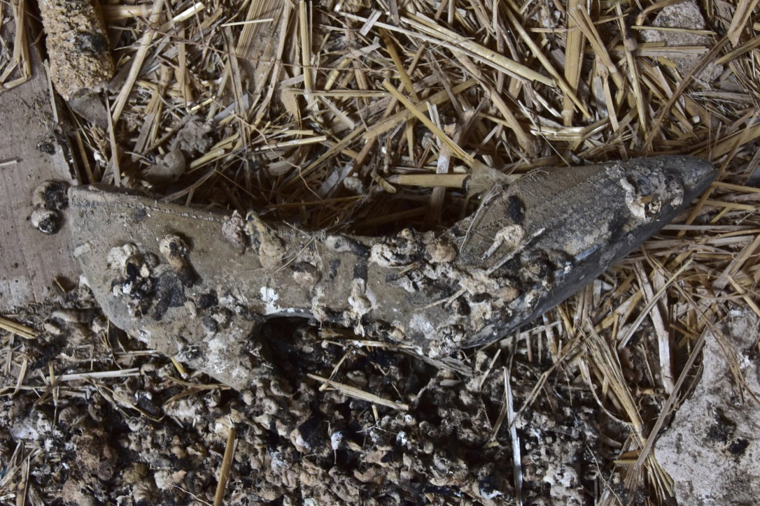 ailing |  Almut Adler