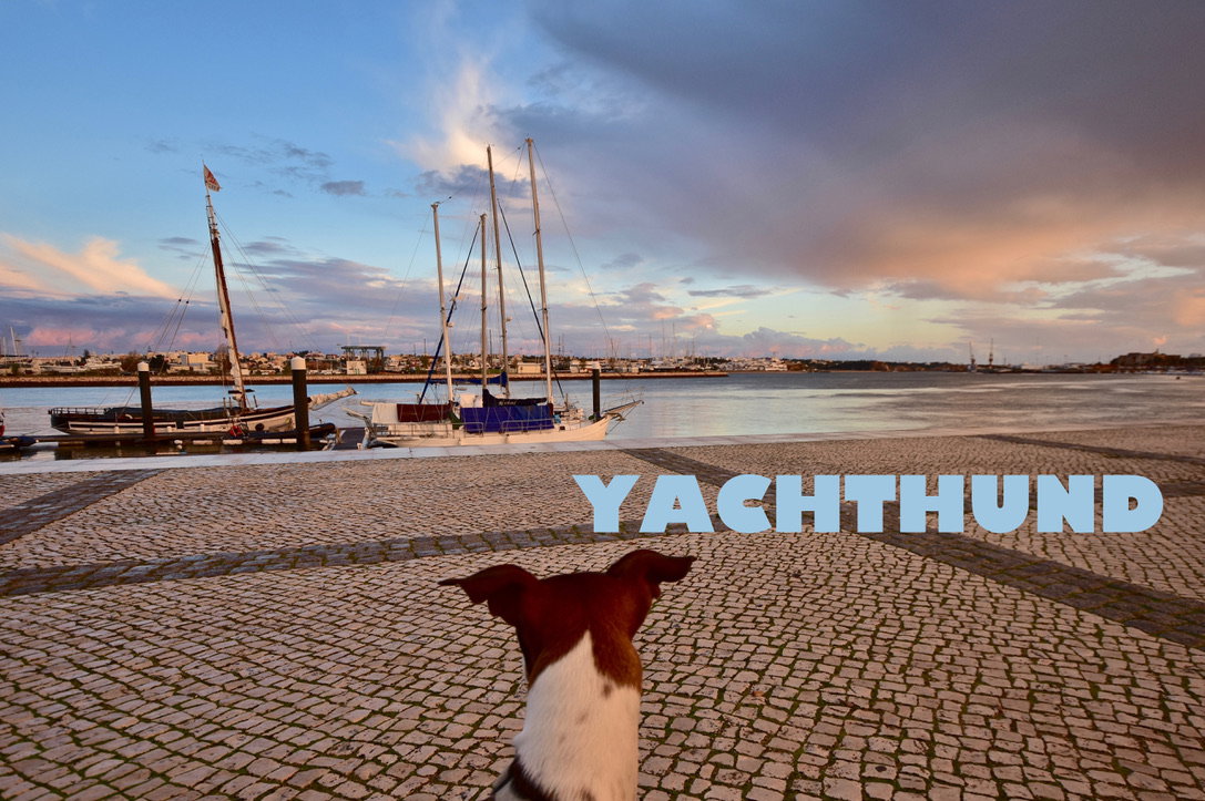 Visual Words | Photos  Almut Adler