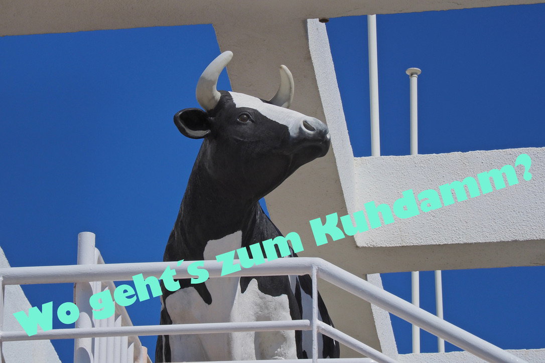 Visual Words | Photos  Almut Adler