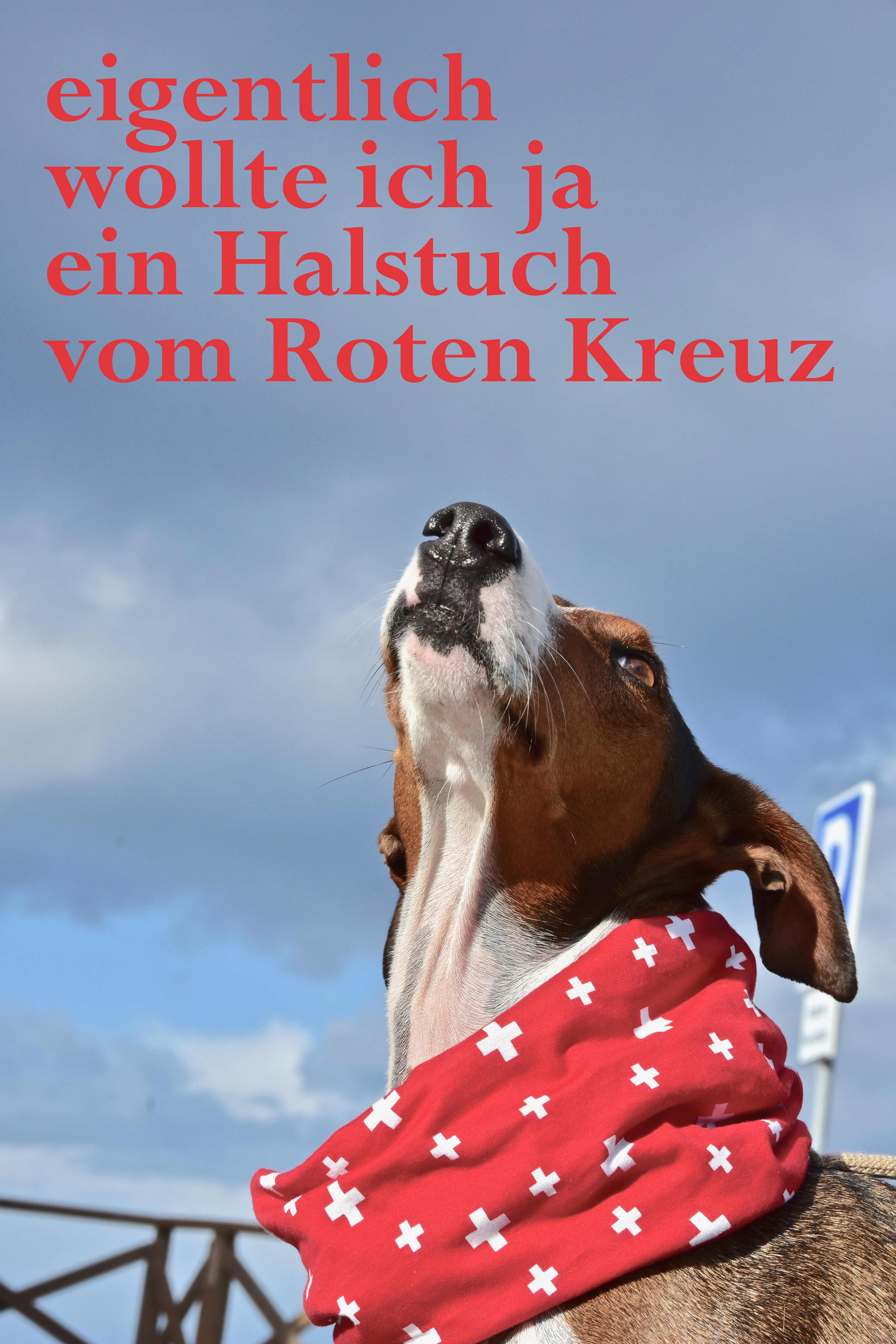 Visual Words | Photos  Almut Adler