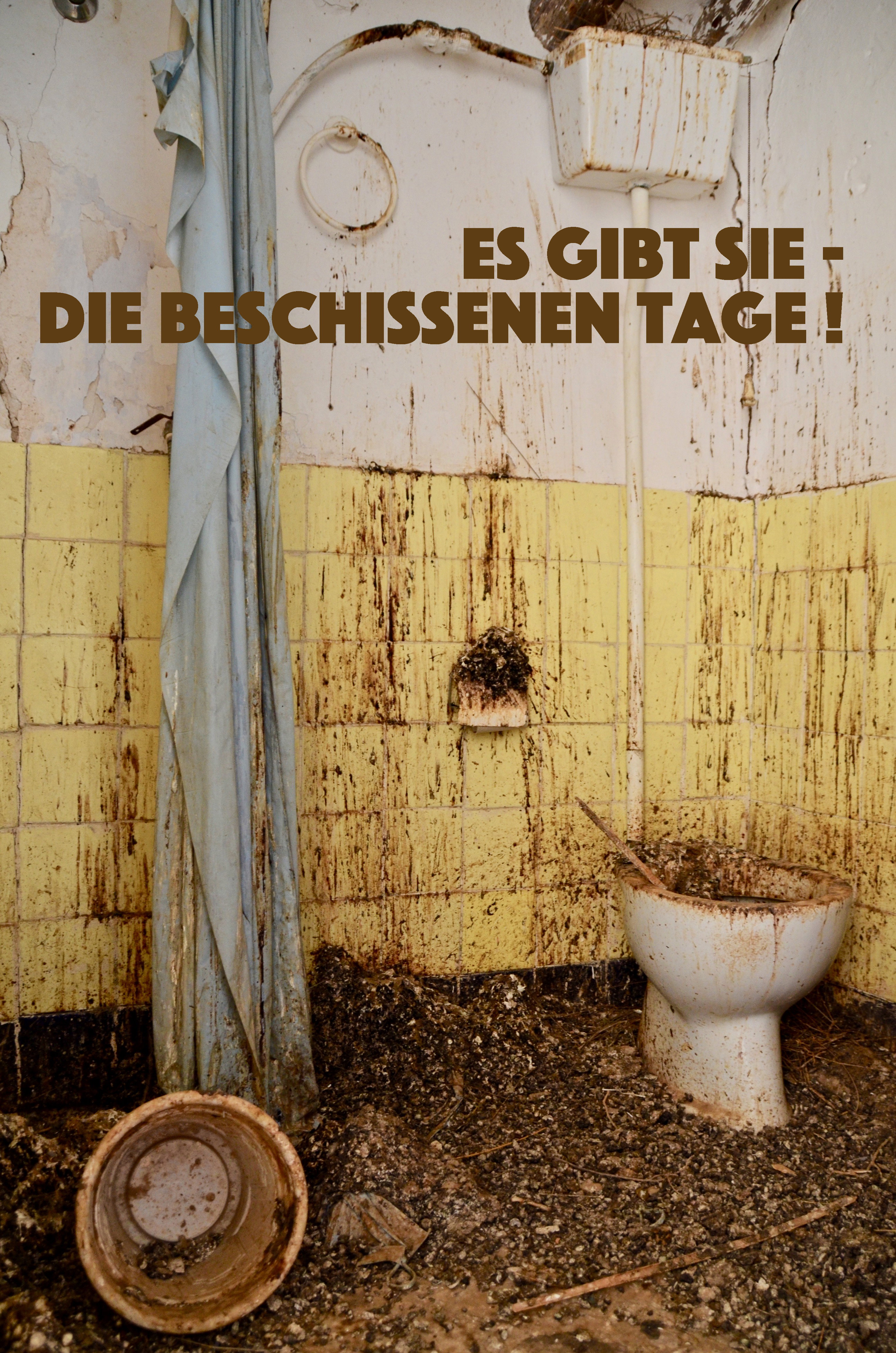 Visual Words | Photos  Almut Adler