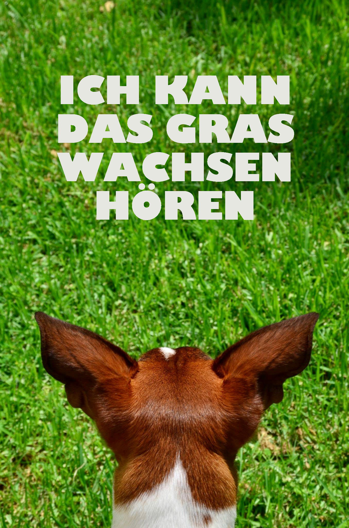 Visual Words | Photos  Almut Adler