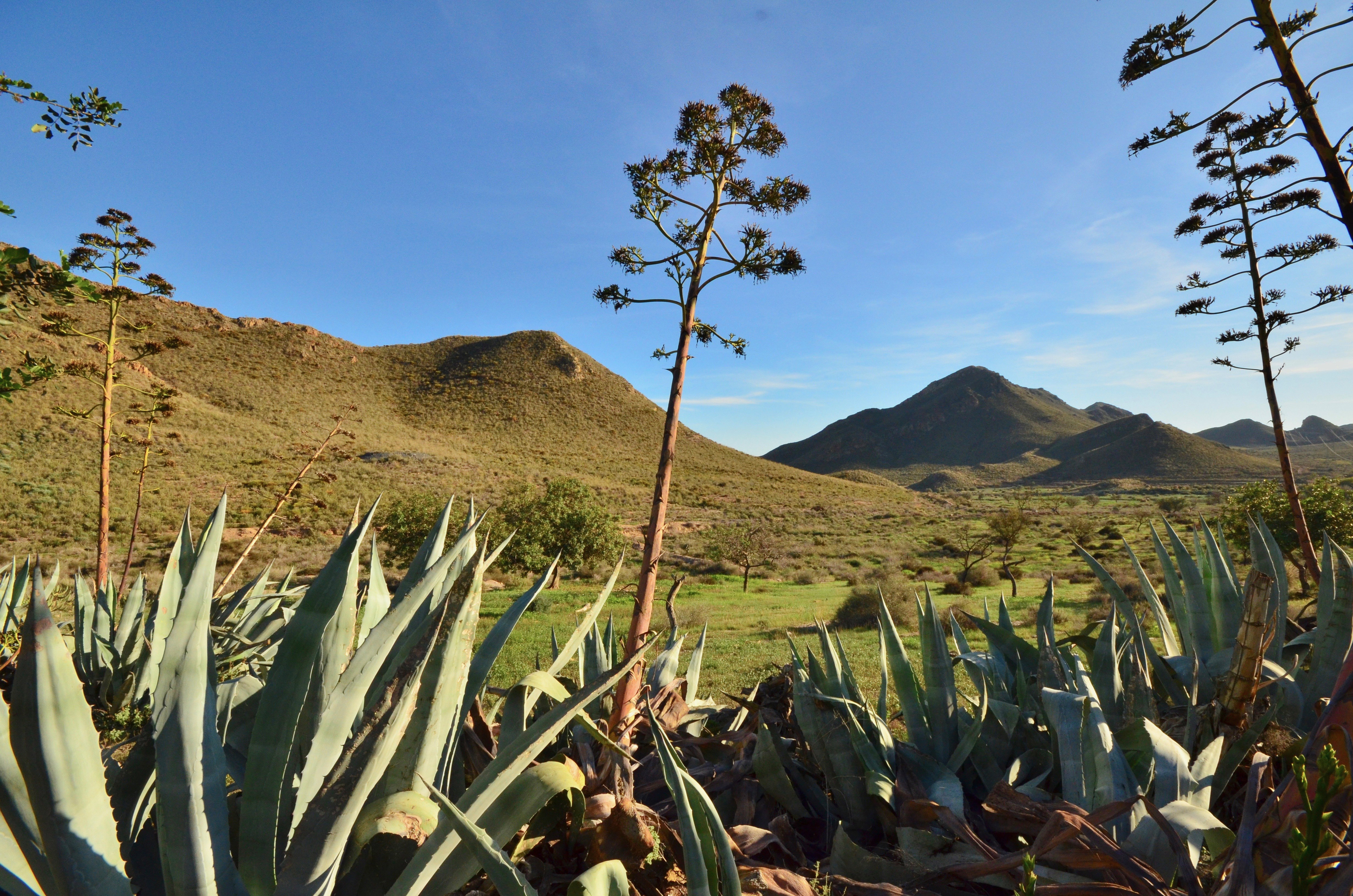 Andalusia |  Almut Adler