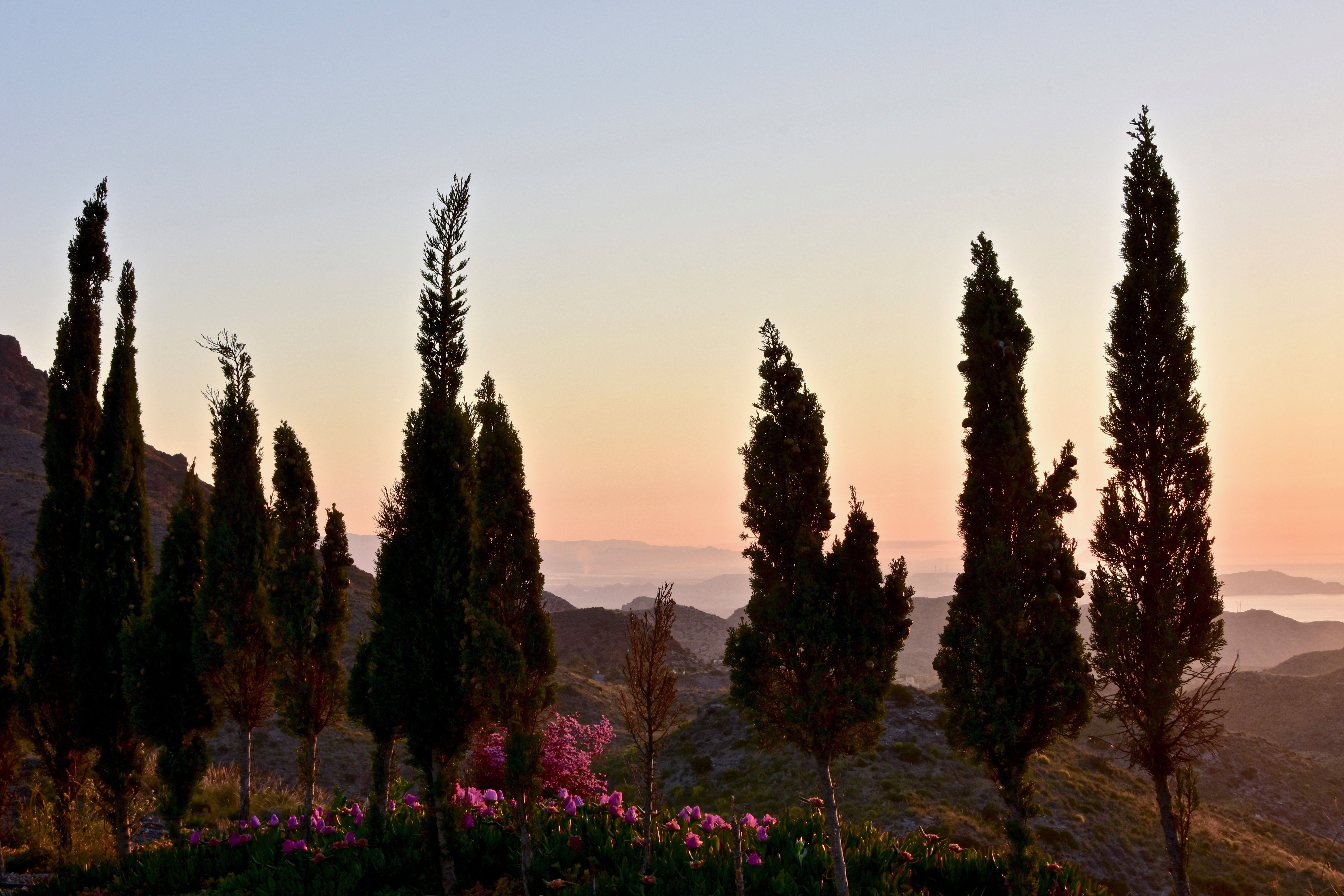 Andalusia |  Almut Adler