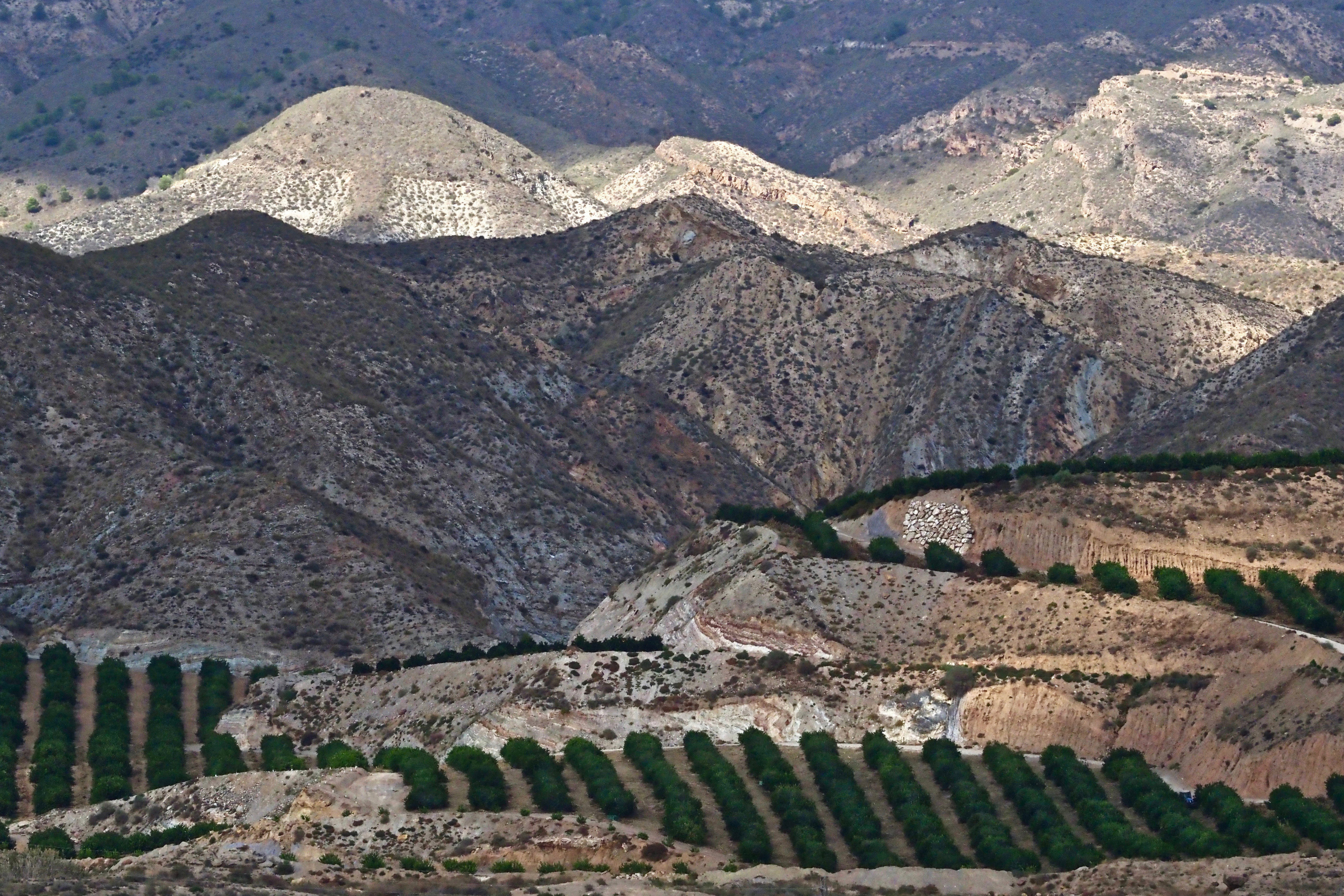 Andalusia |  Almut Adler