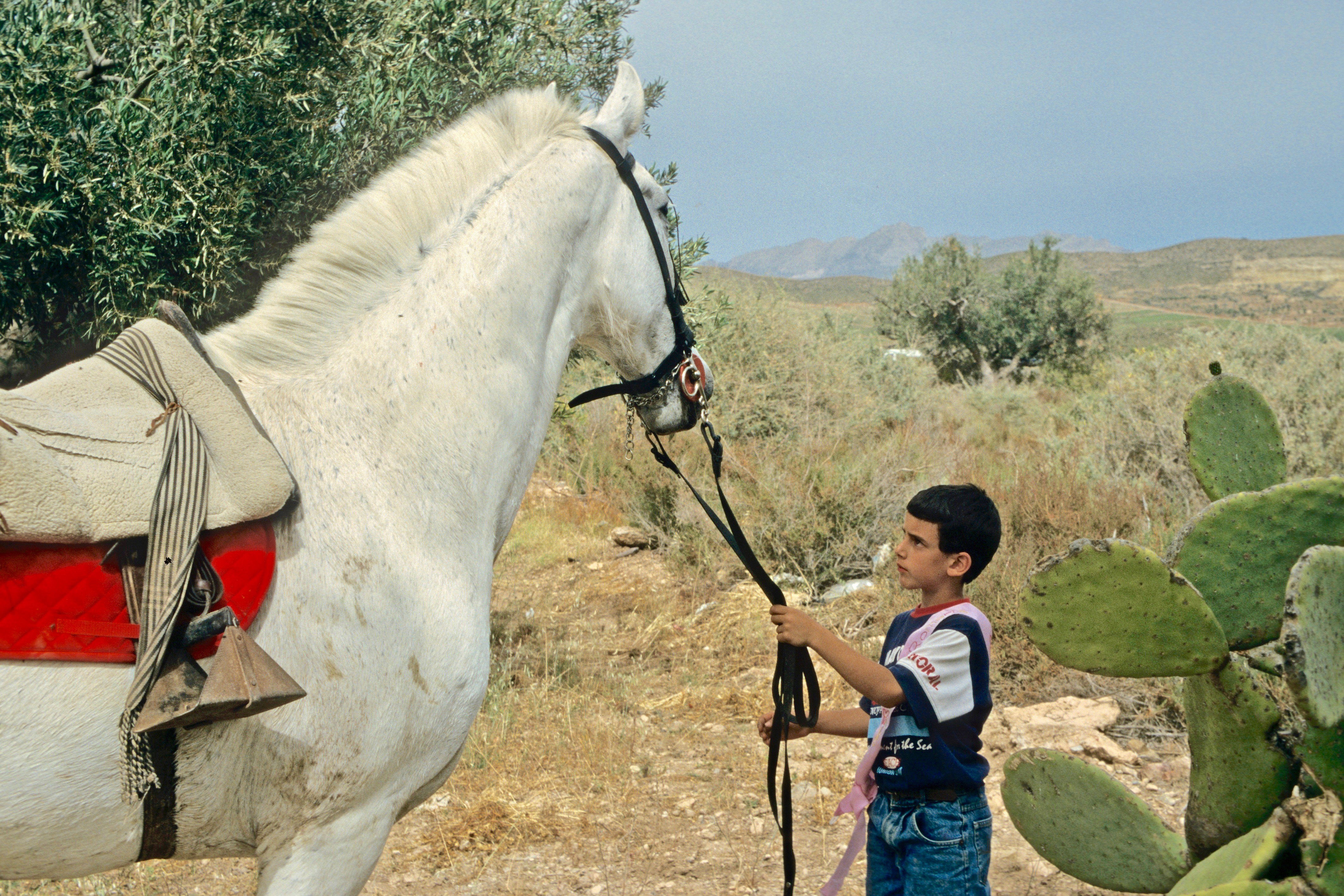 Andalusia |  Almut Adler