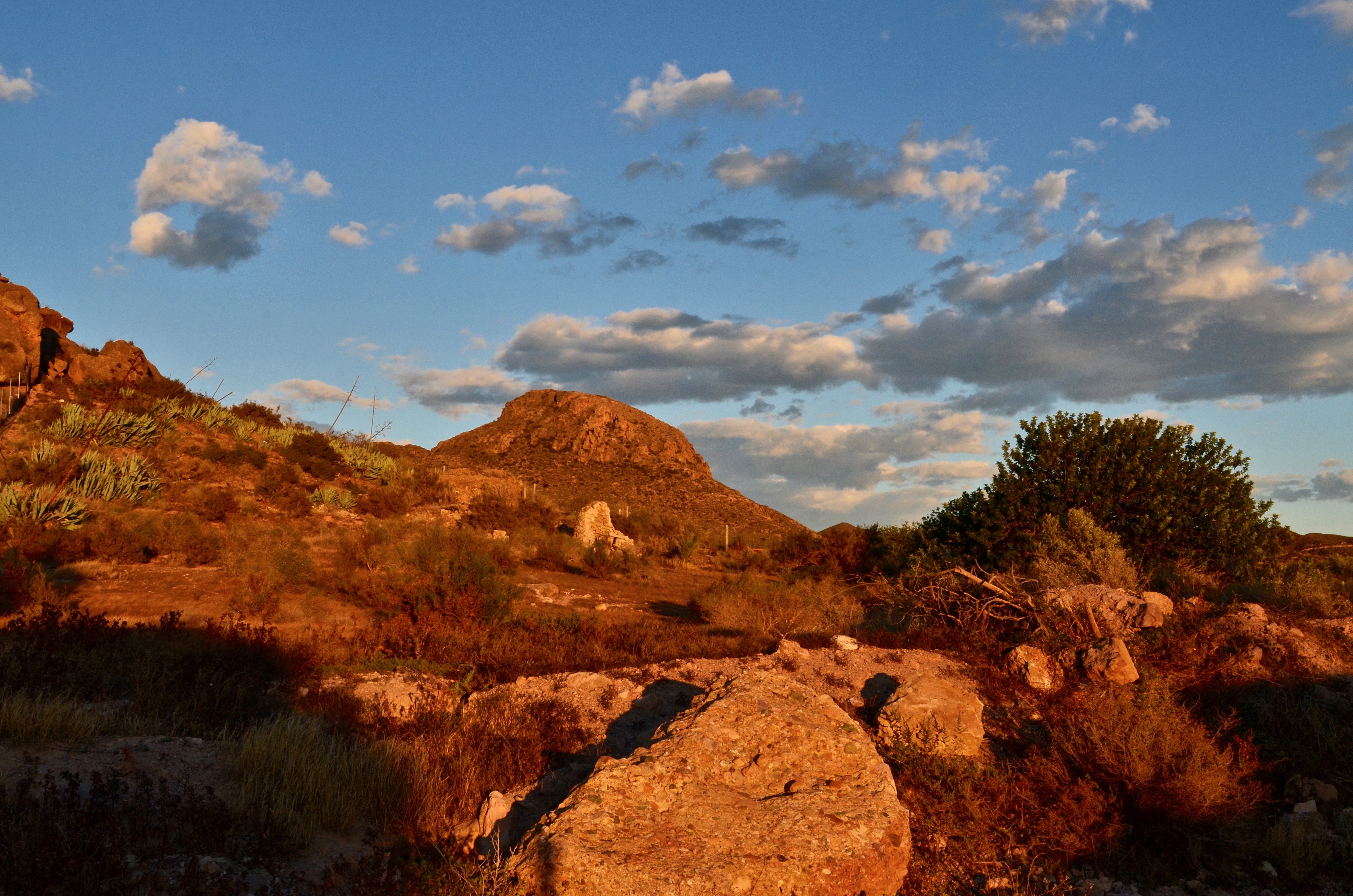 Andalusia |  Almut Adler