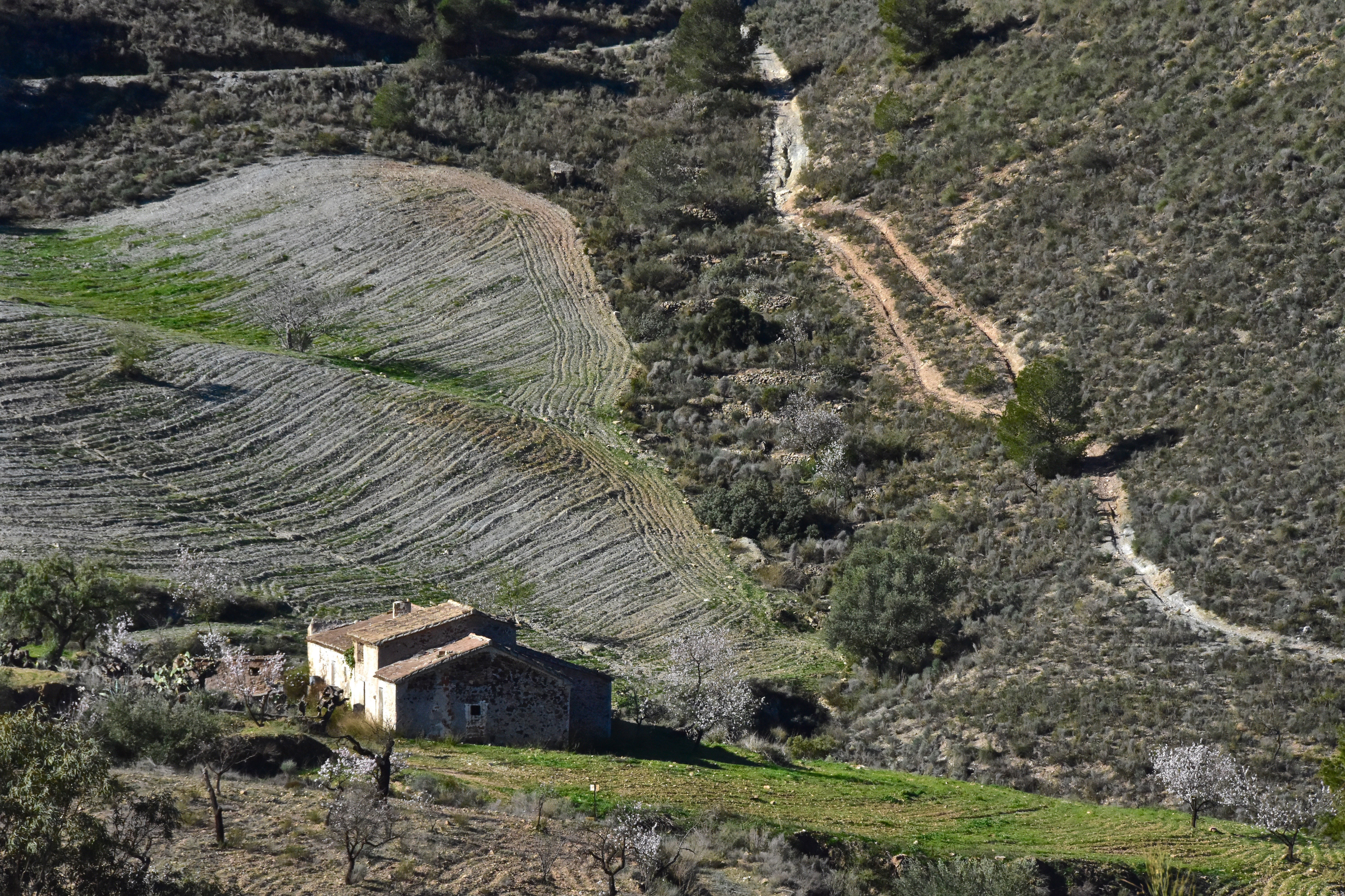 Andalusia |  Almut Adler