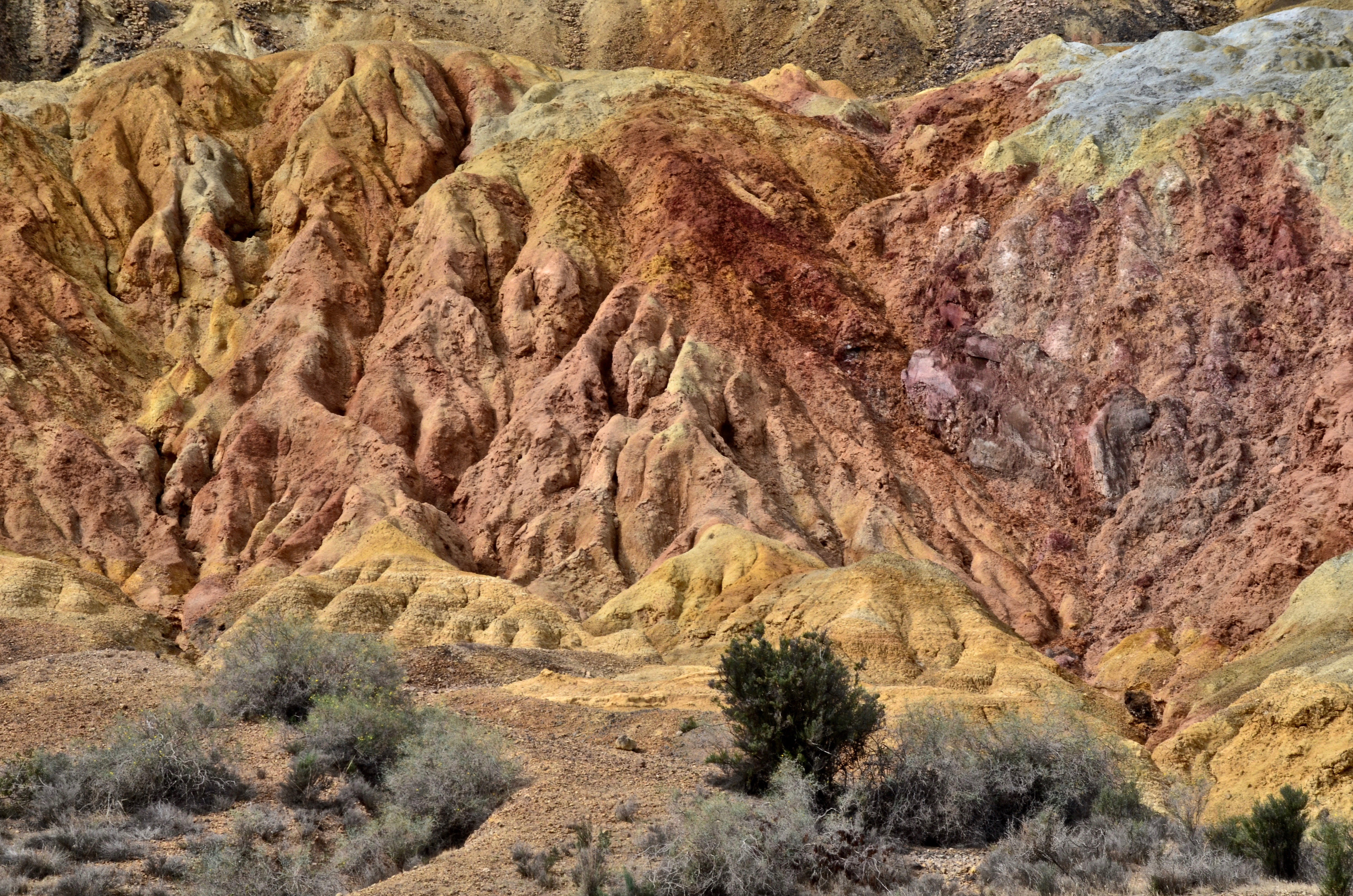 nature |  Almut Adler