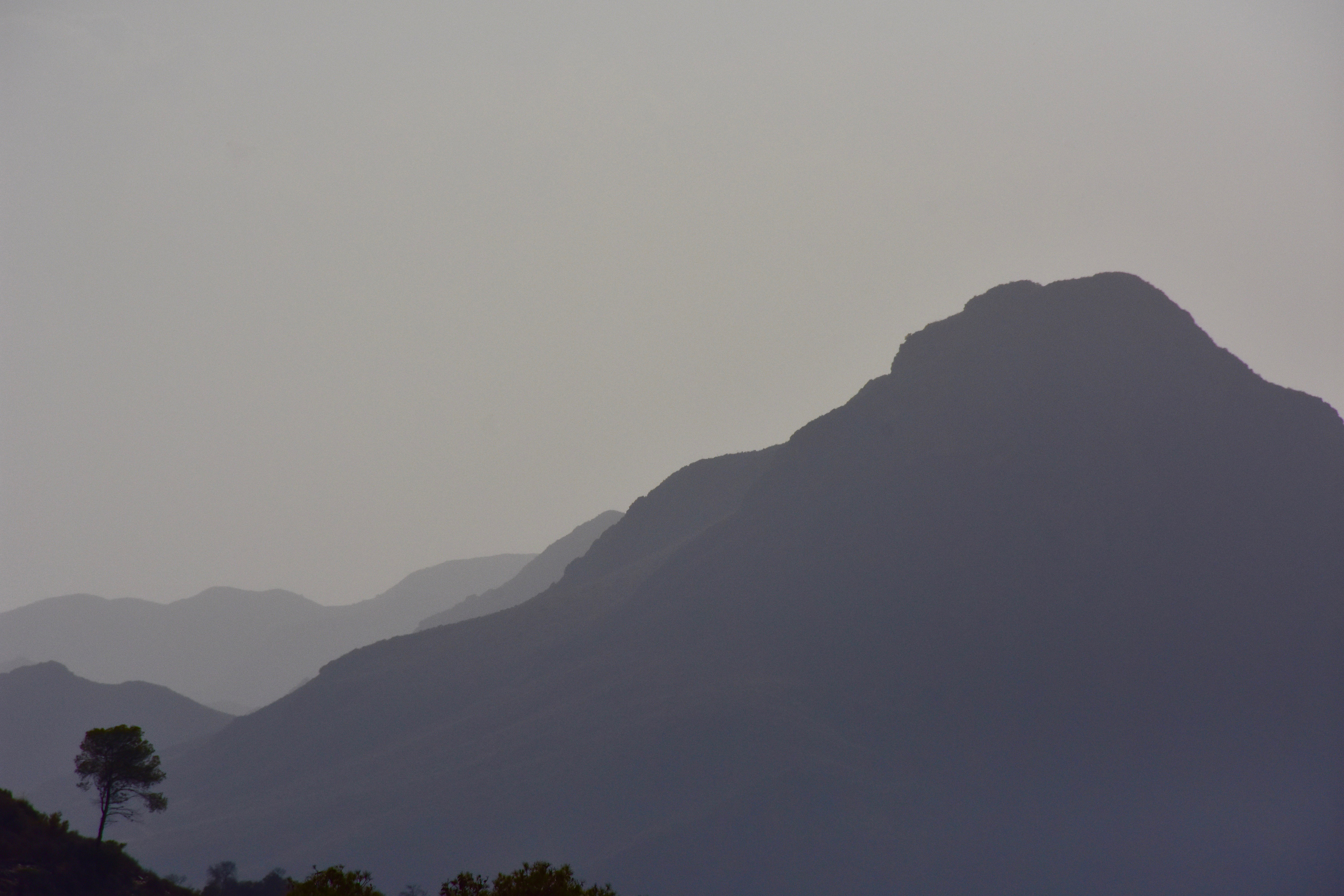 nature |  Almut Adler