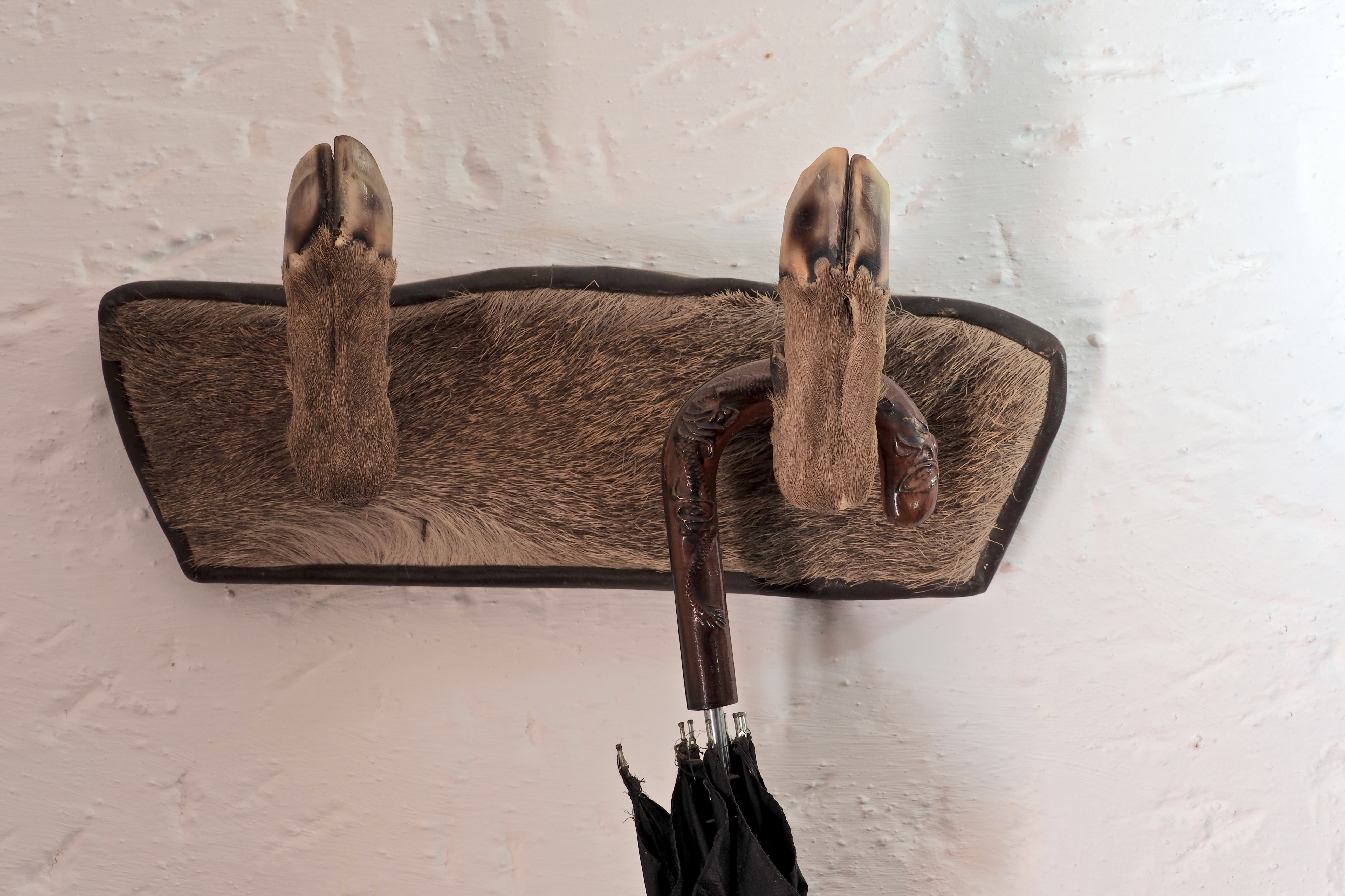 still life |  Almut Adler