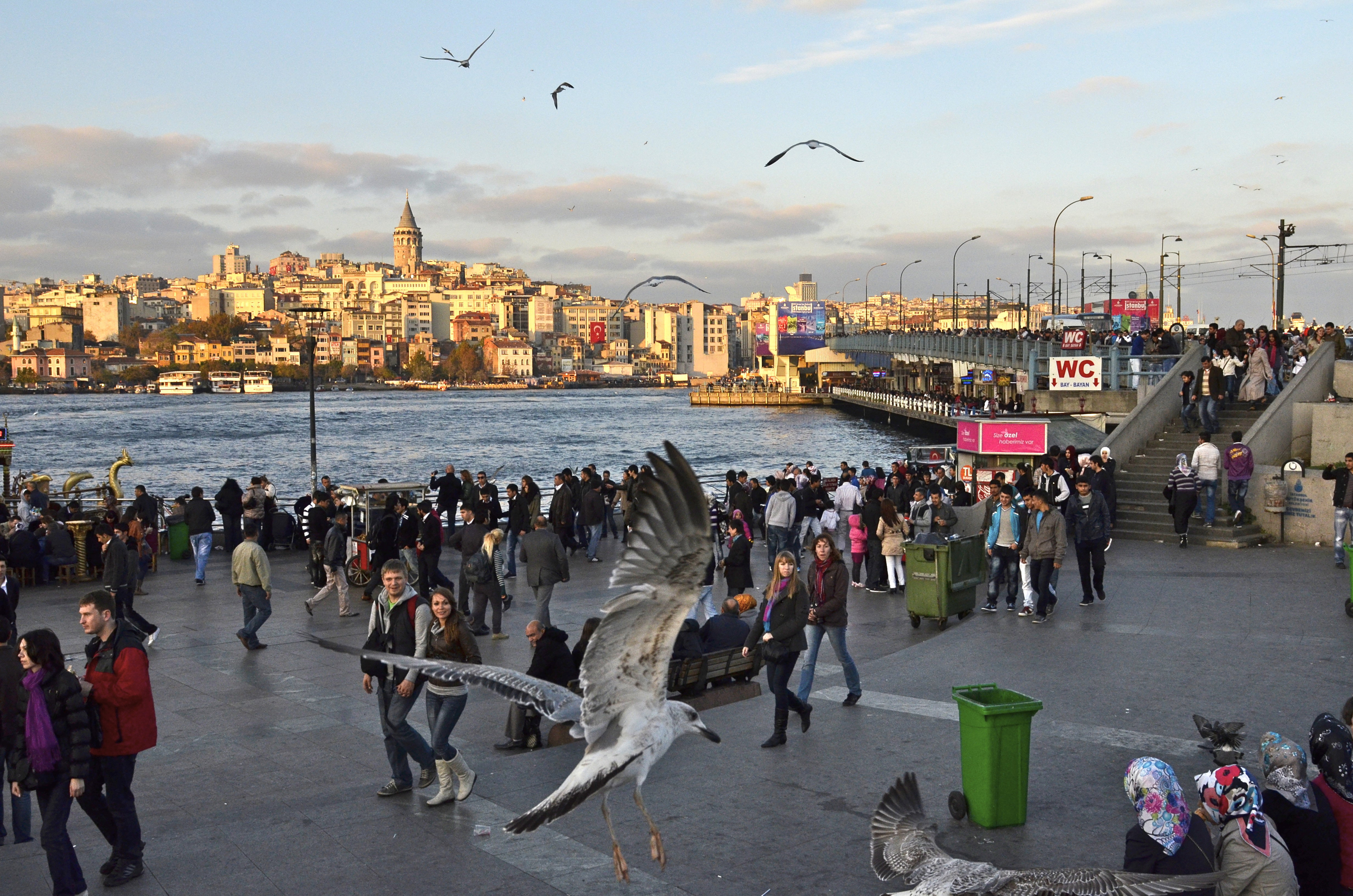 Travel 1975-2015 |  Almut Adler