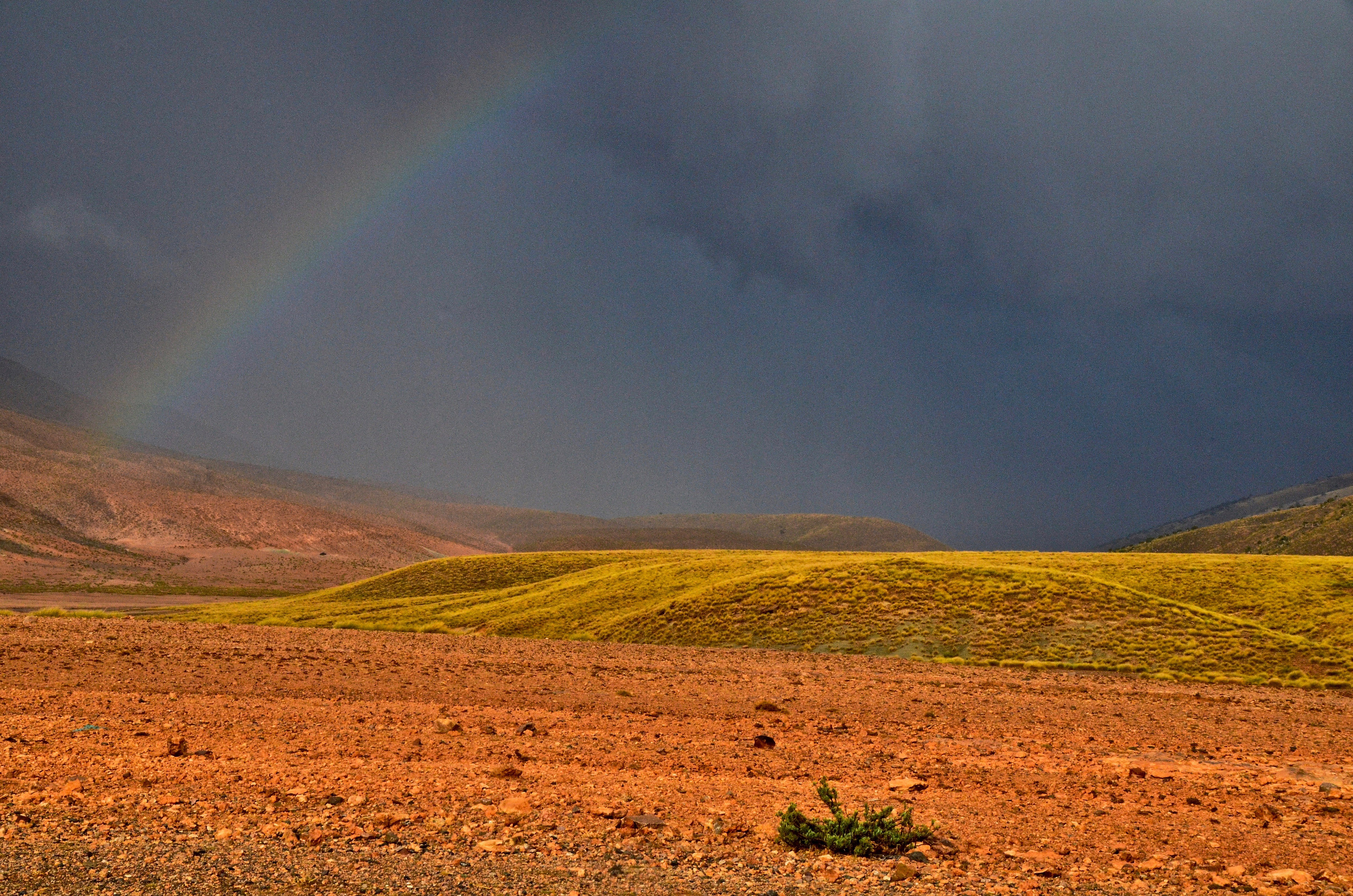 Travel 1975-2015 |  Almut Adler