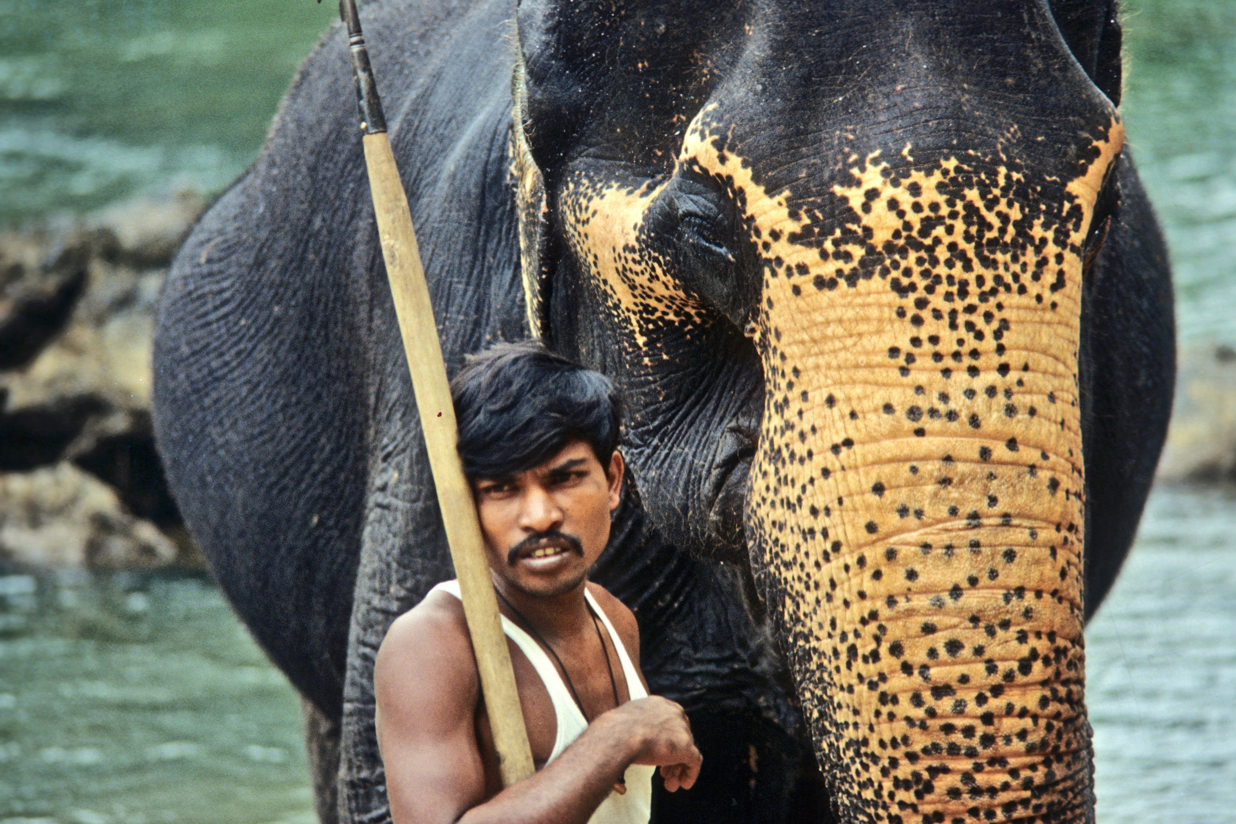 Travel 1975-2015 |  Almut Adler