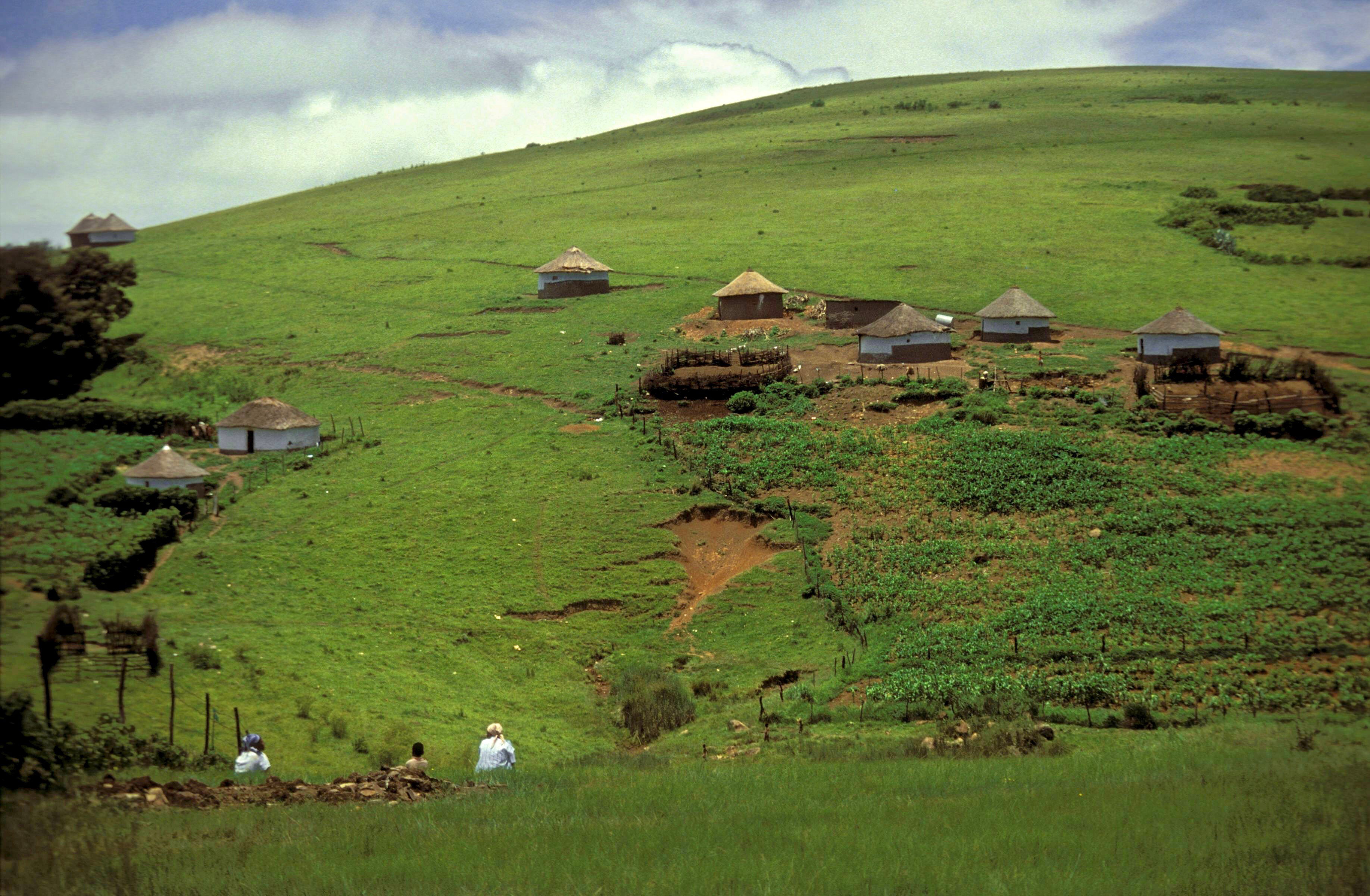 Travel 1975-2015 |  Almut Adler