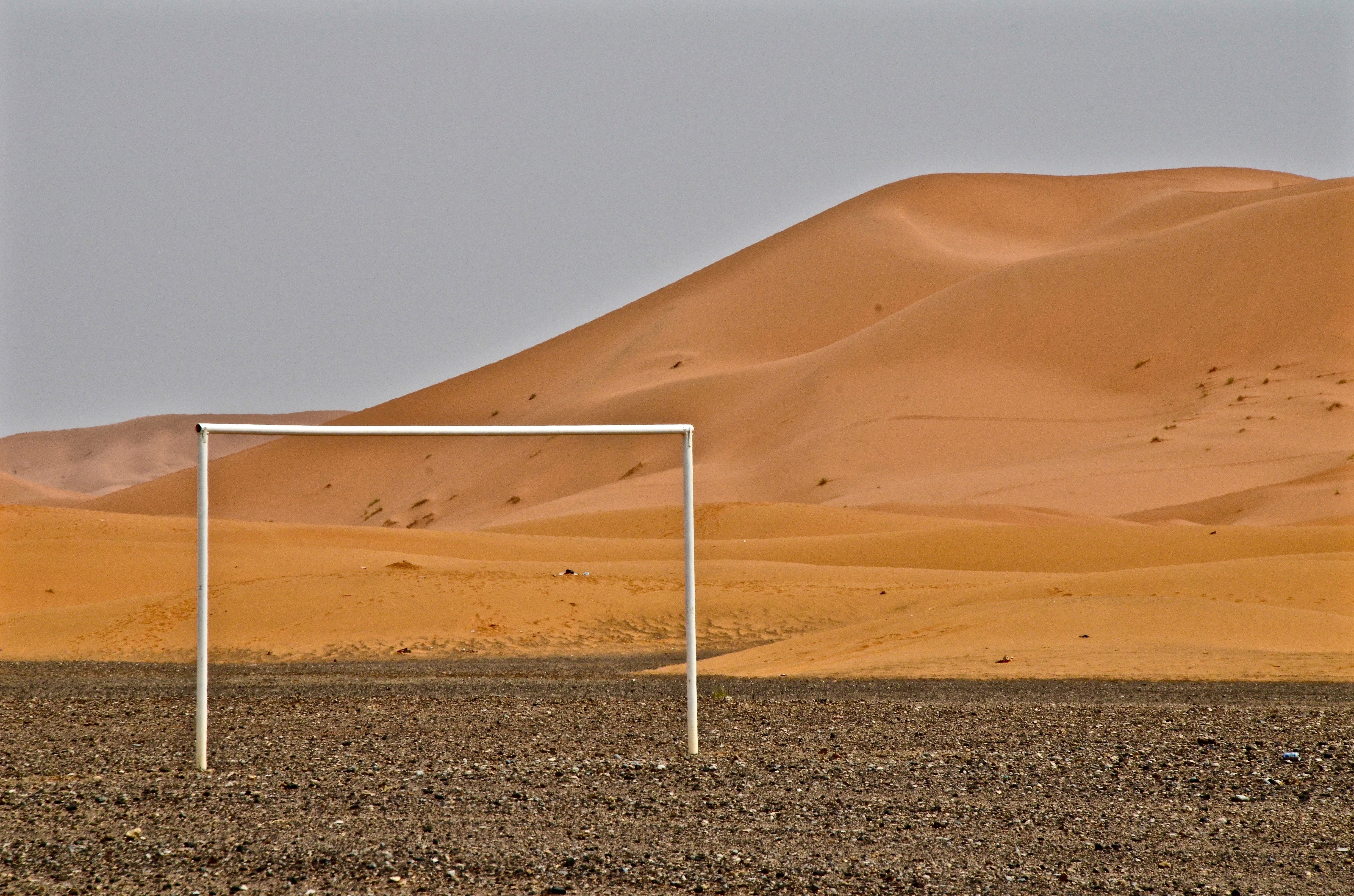 nature |  Almut Adler