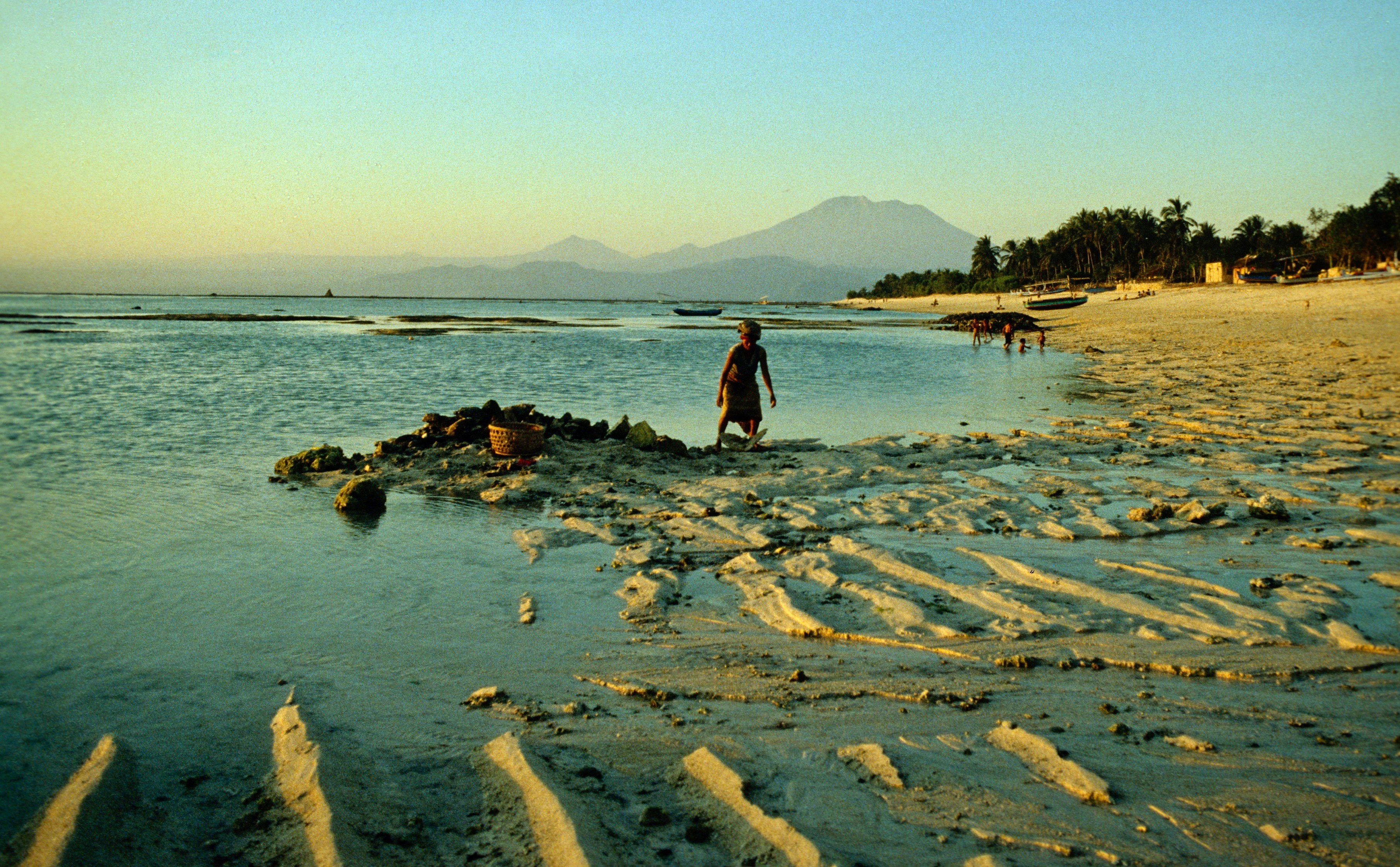 Travel 1975-2015 |  Almut Adler