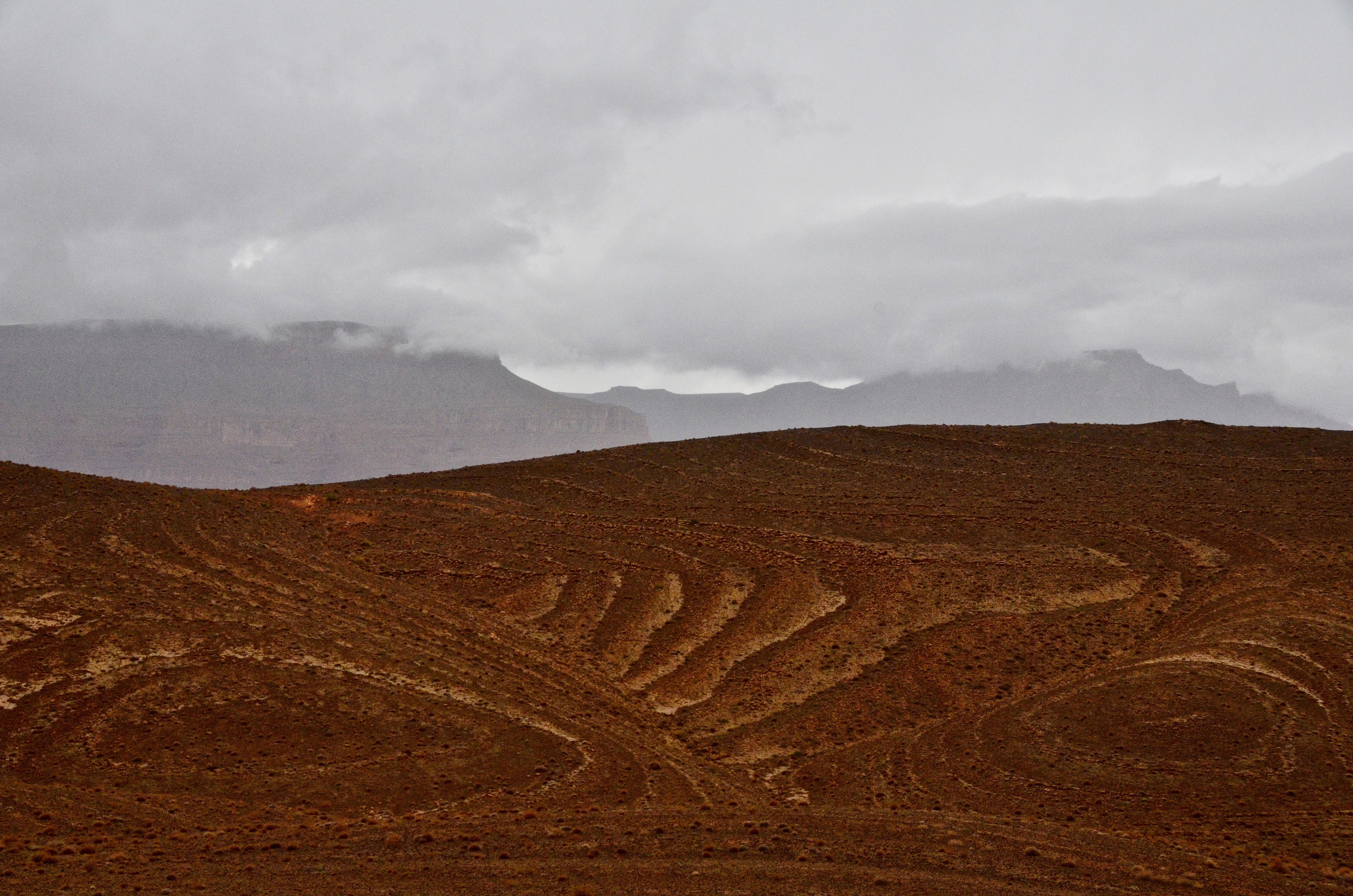 nature |  Almut Adler
