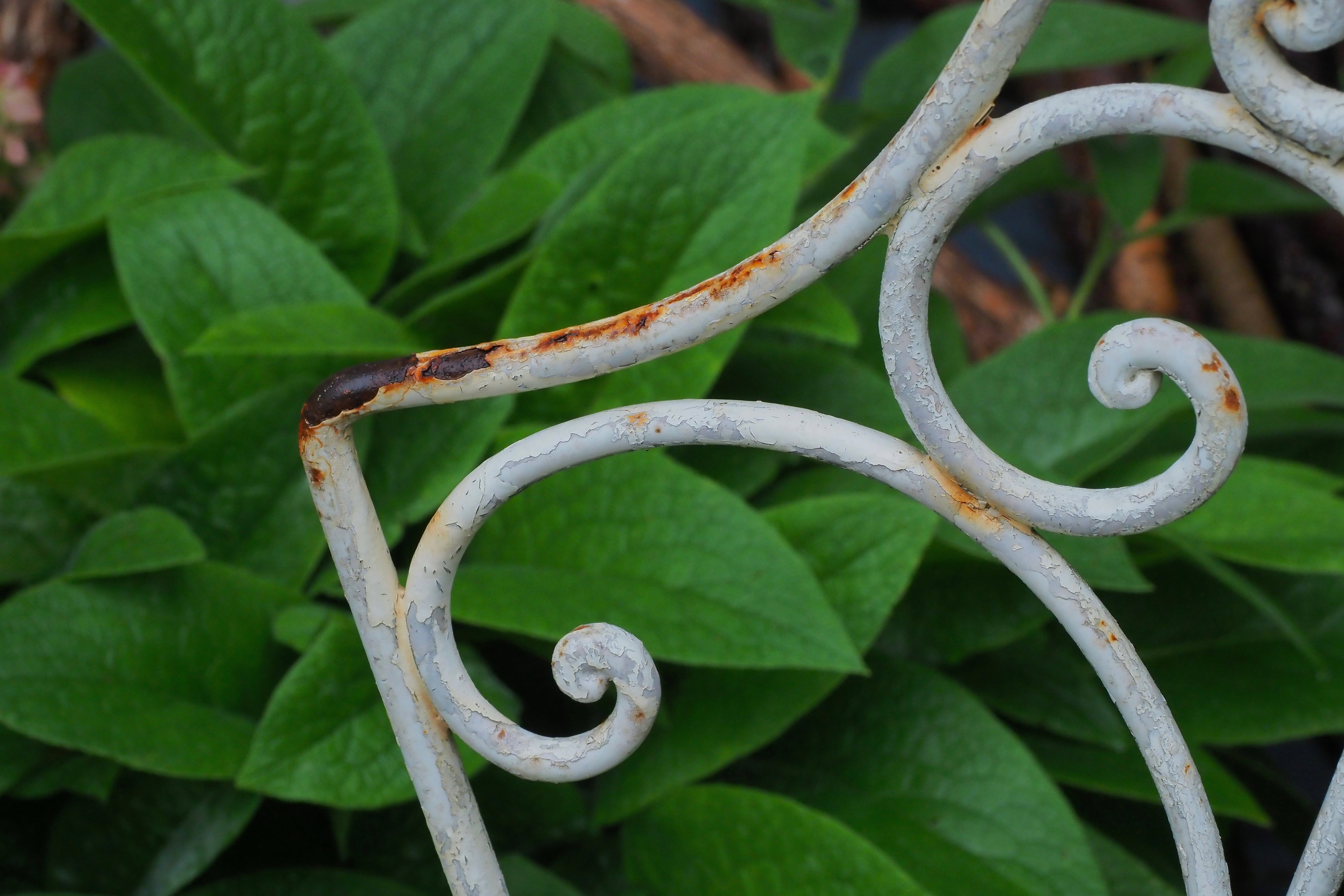 still life |  Almut Adler