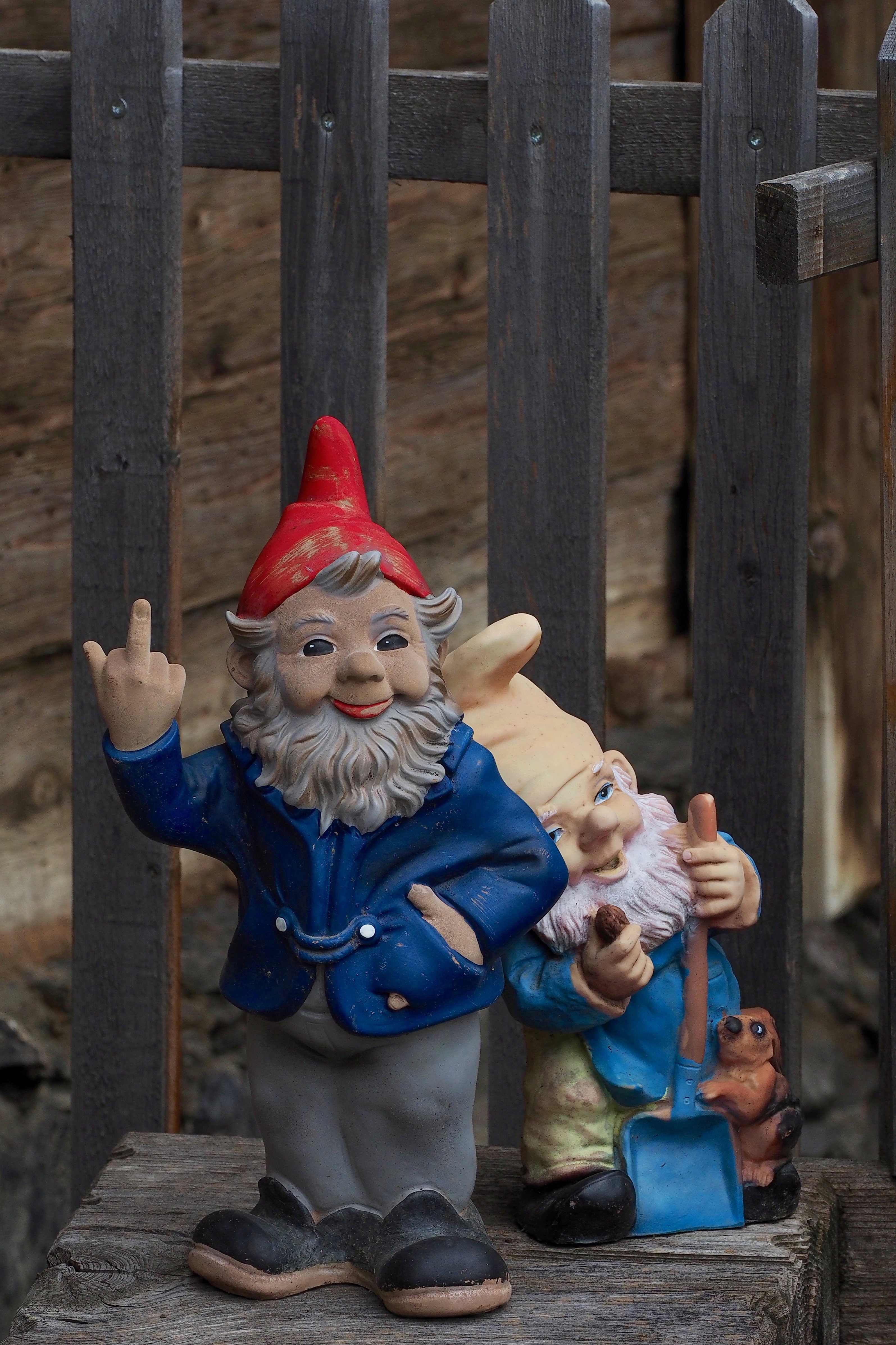 still life |  Almut Adler