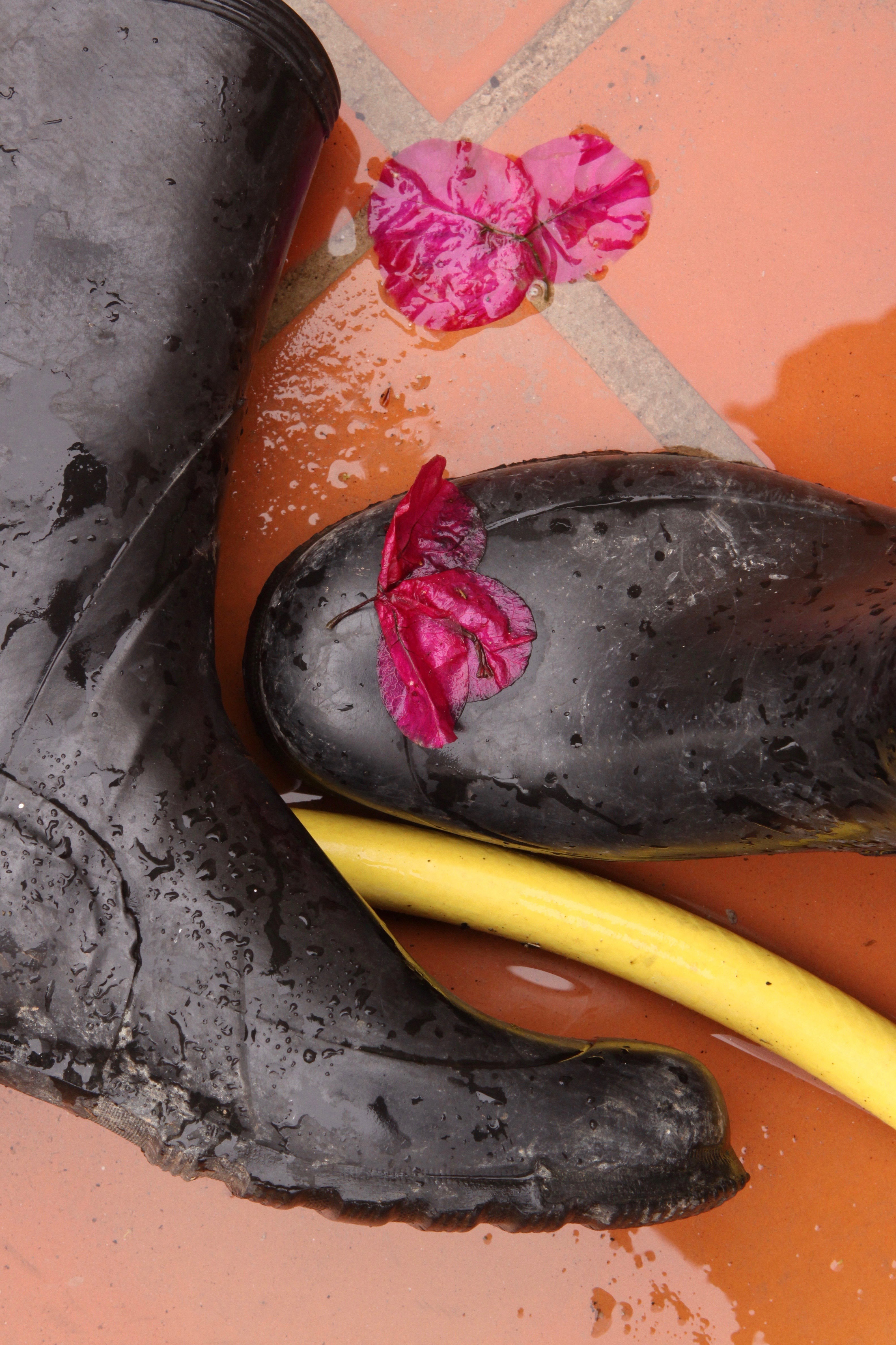 still life |  Almut Adler