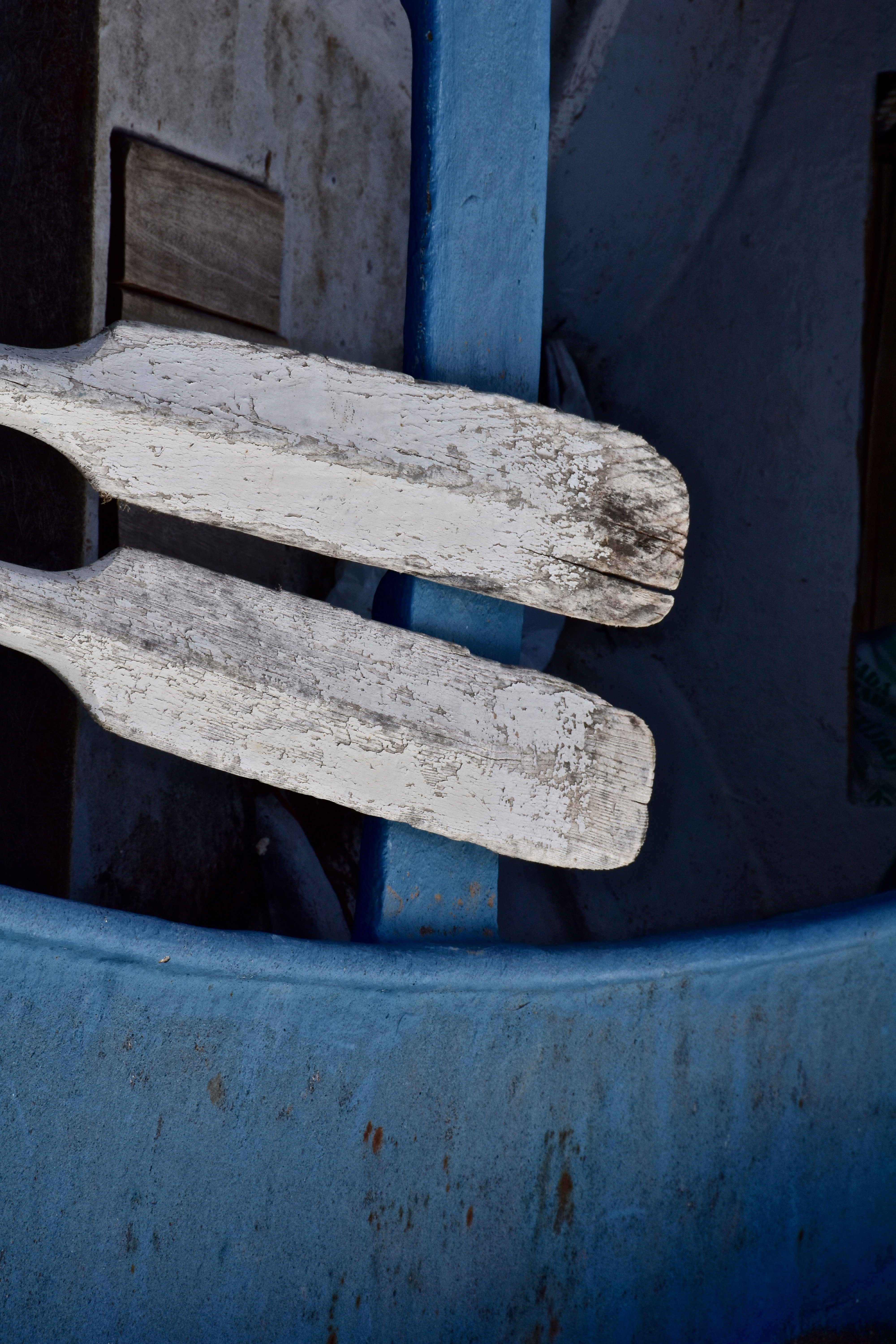 still life |  Almut Adler