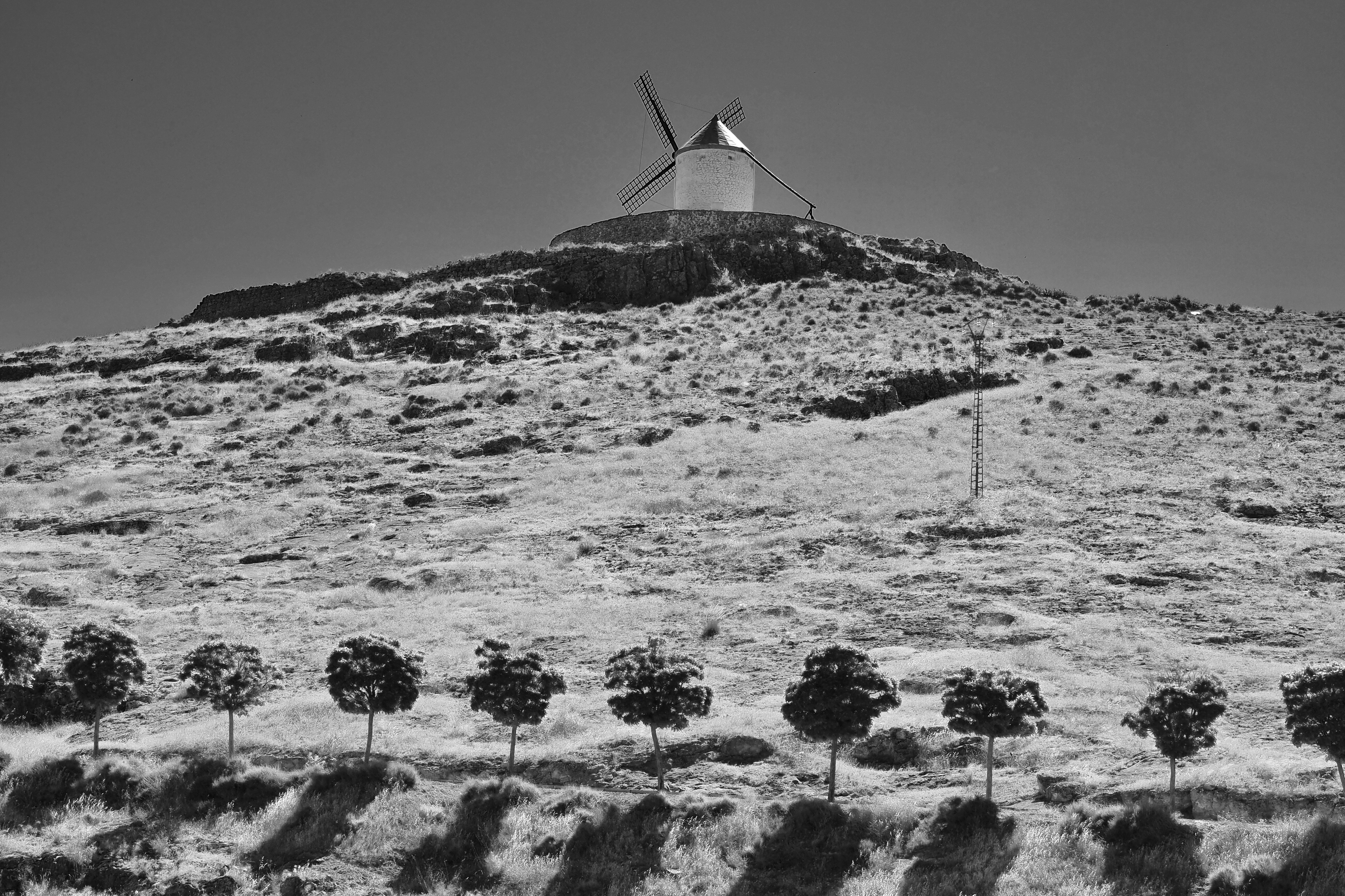 black and white | Photos  Almut Adler