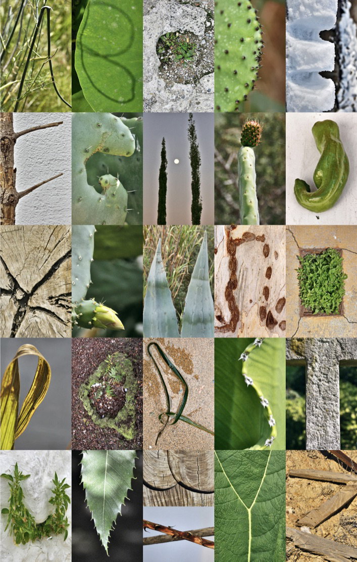 Motif ABC | Photos  Almut Adler