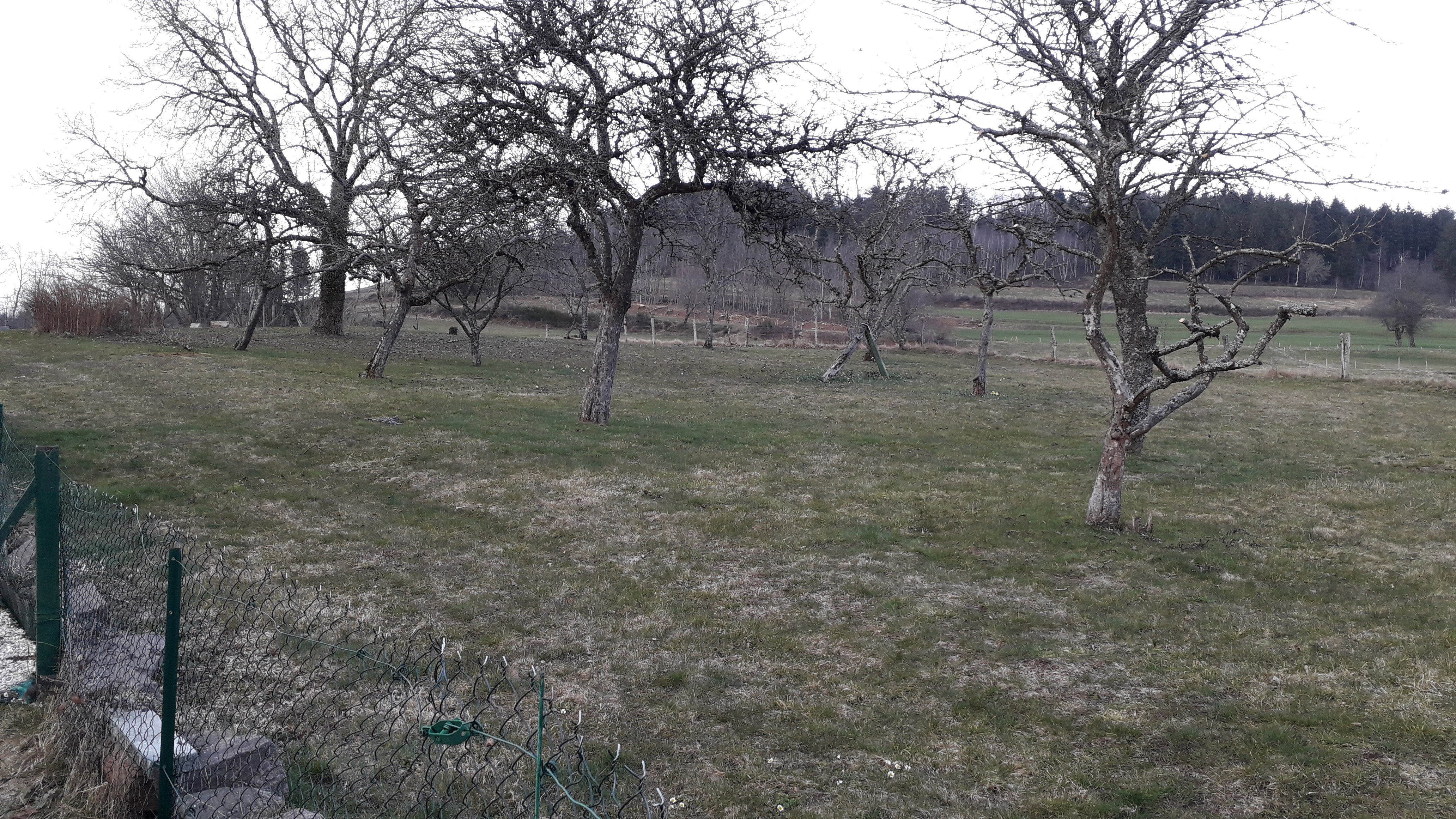 Photos of the exterior and direct surroundings