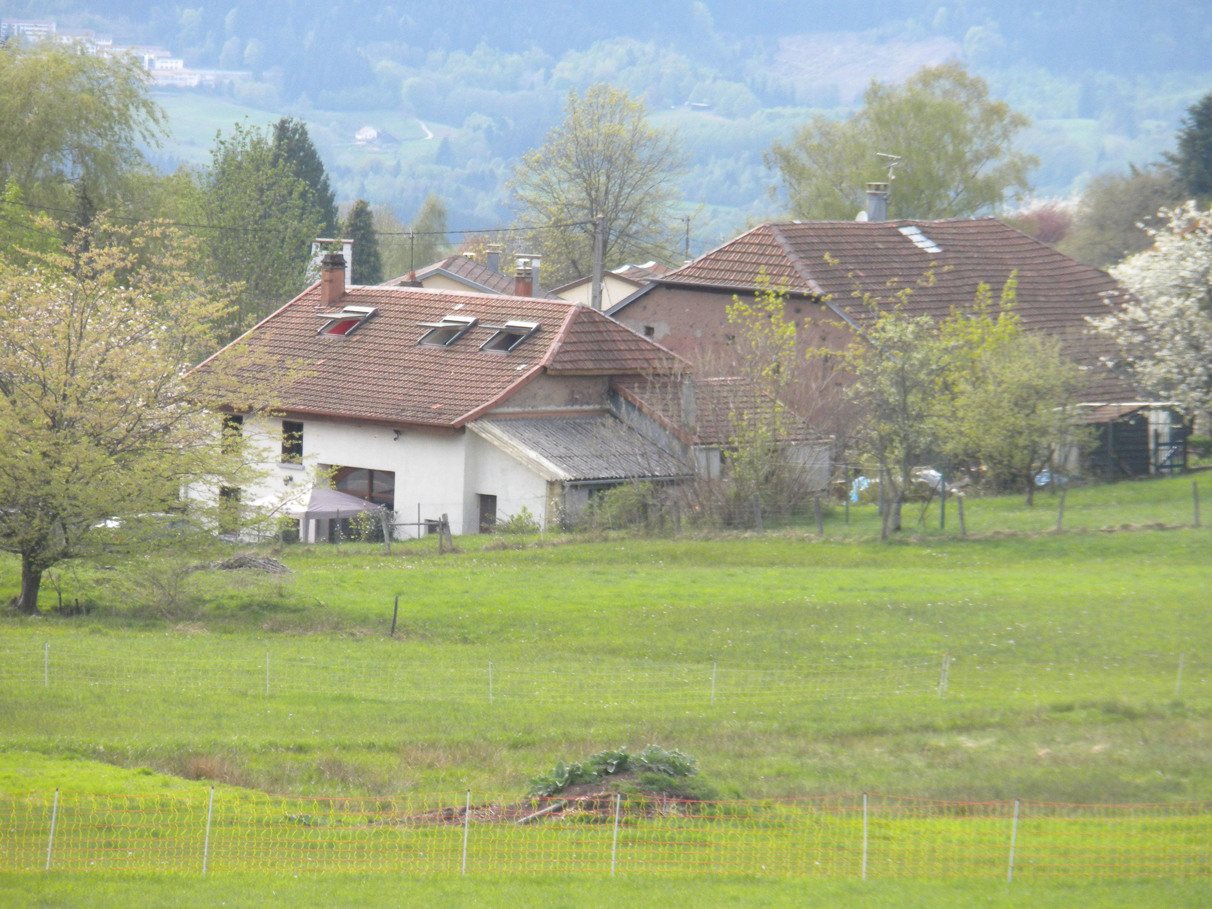 Photos of the exterior and direct surroundings
