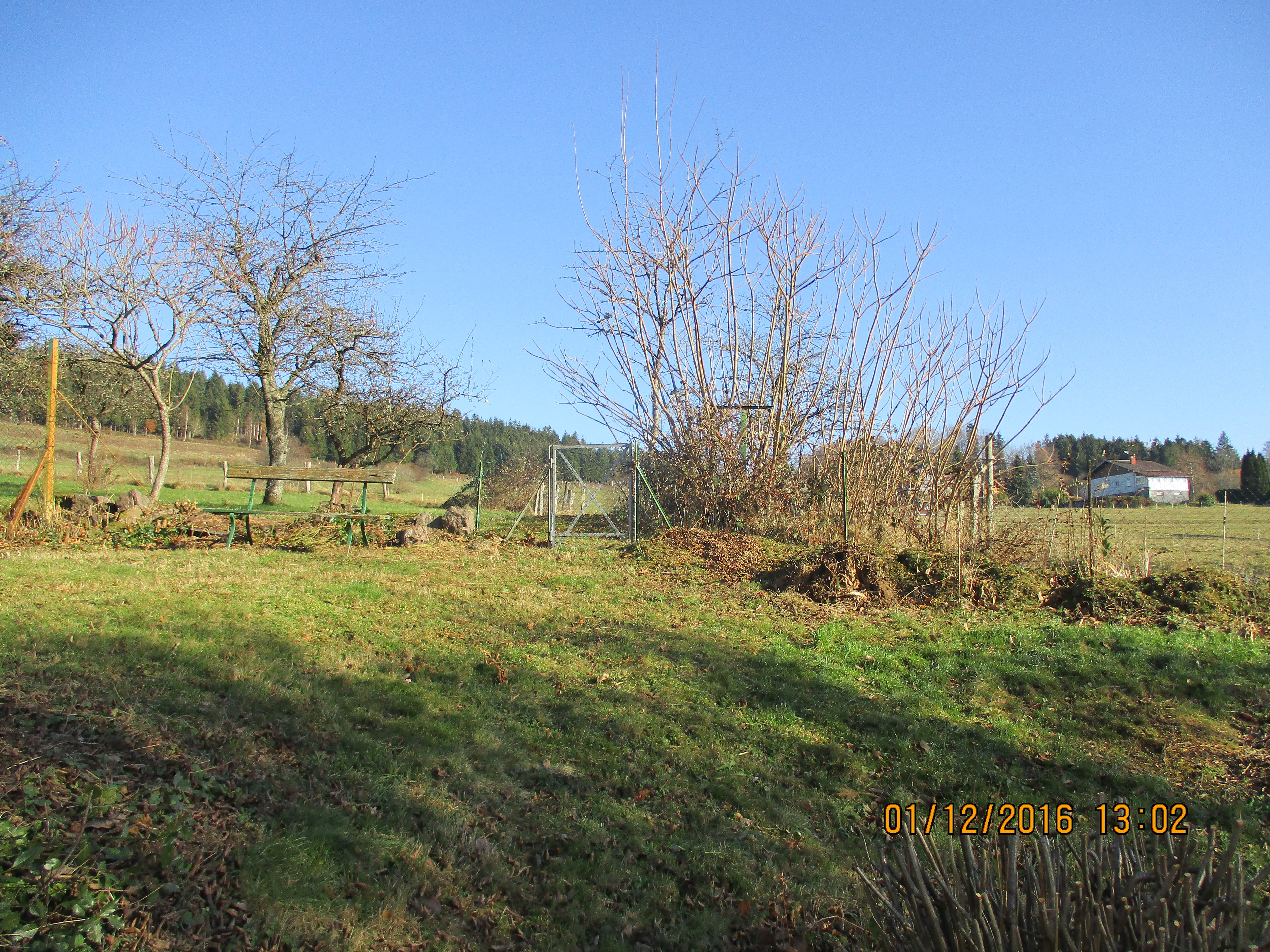 Photos of the exterior and direct surroundings