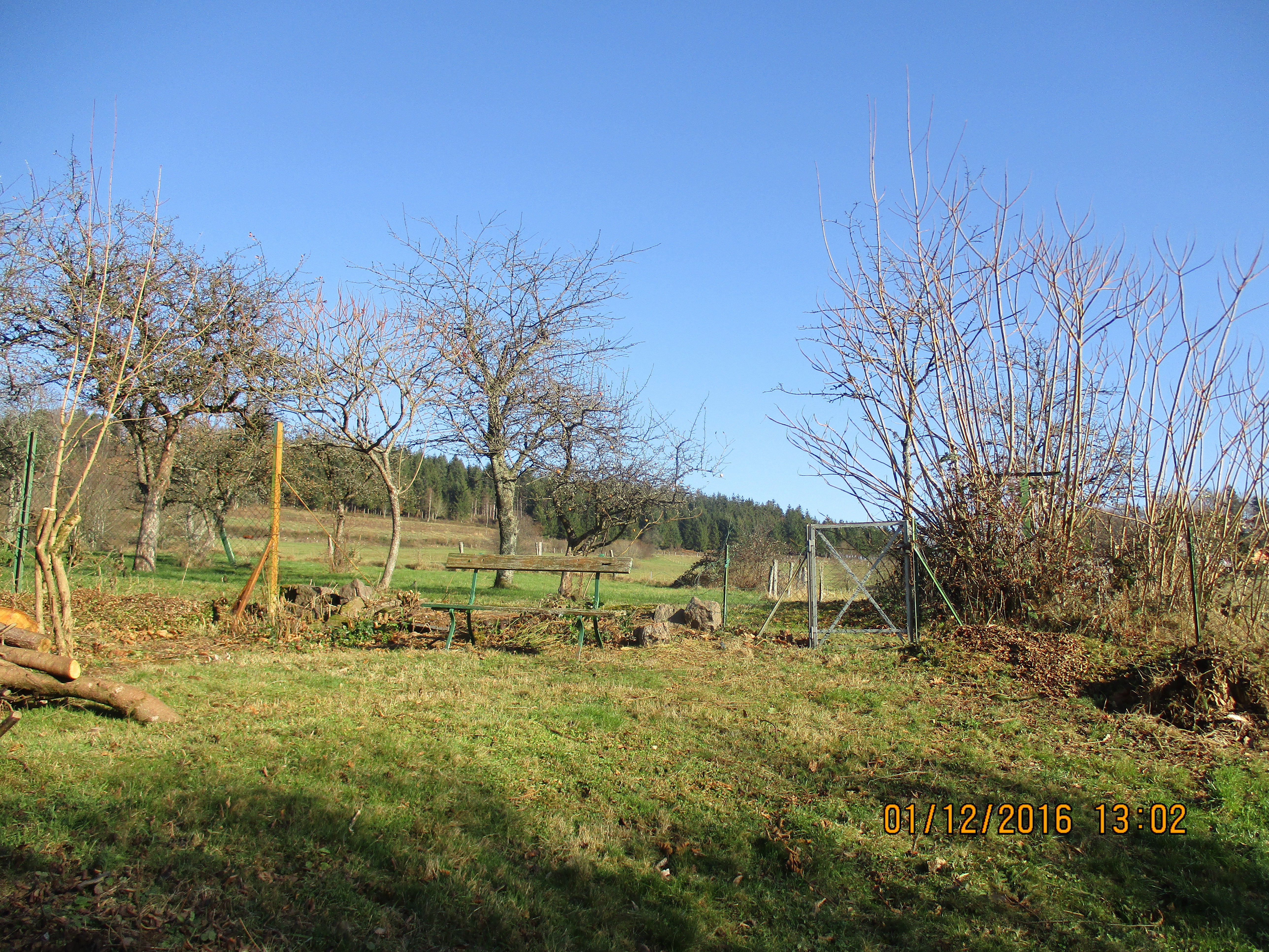 Photos of the exterior and direct surroundings