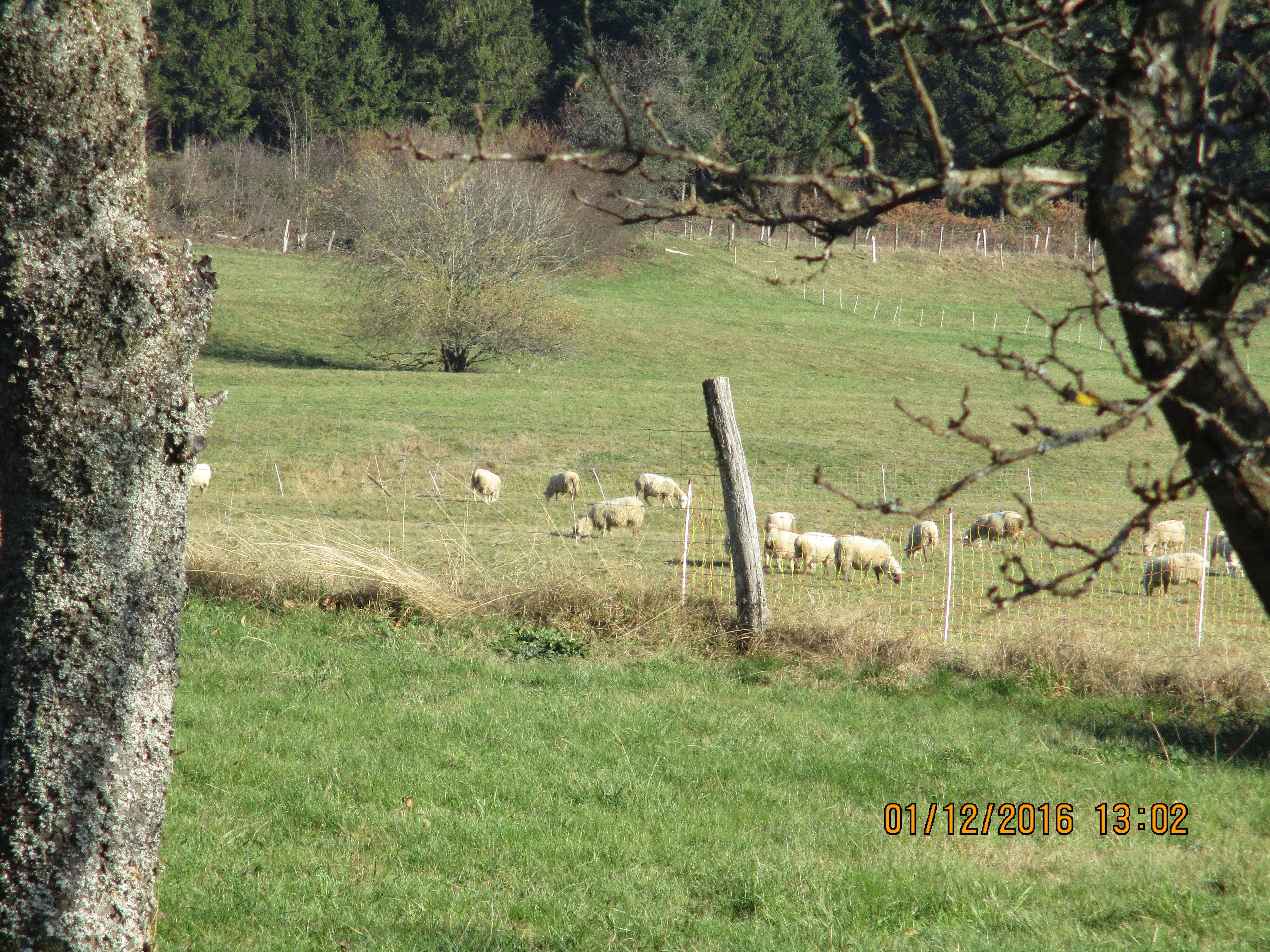 Photos of the exterior and direct surroundings