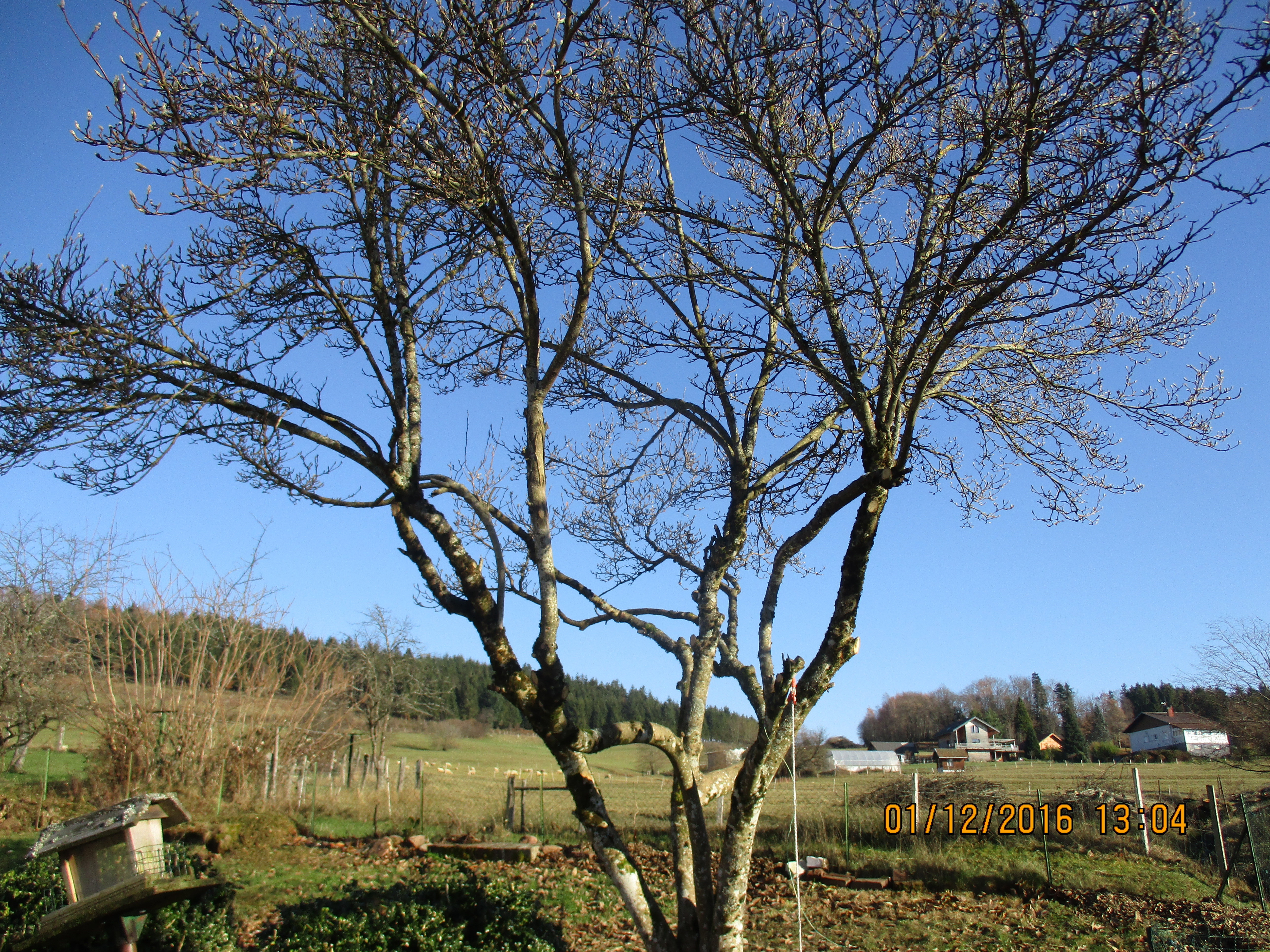 Photos of the exterior and direct surroundings