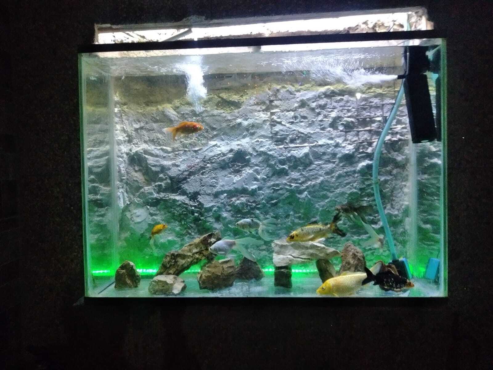 Fishbowl