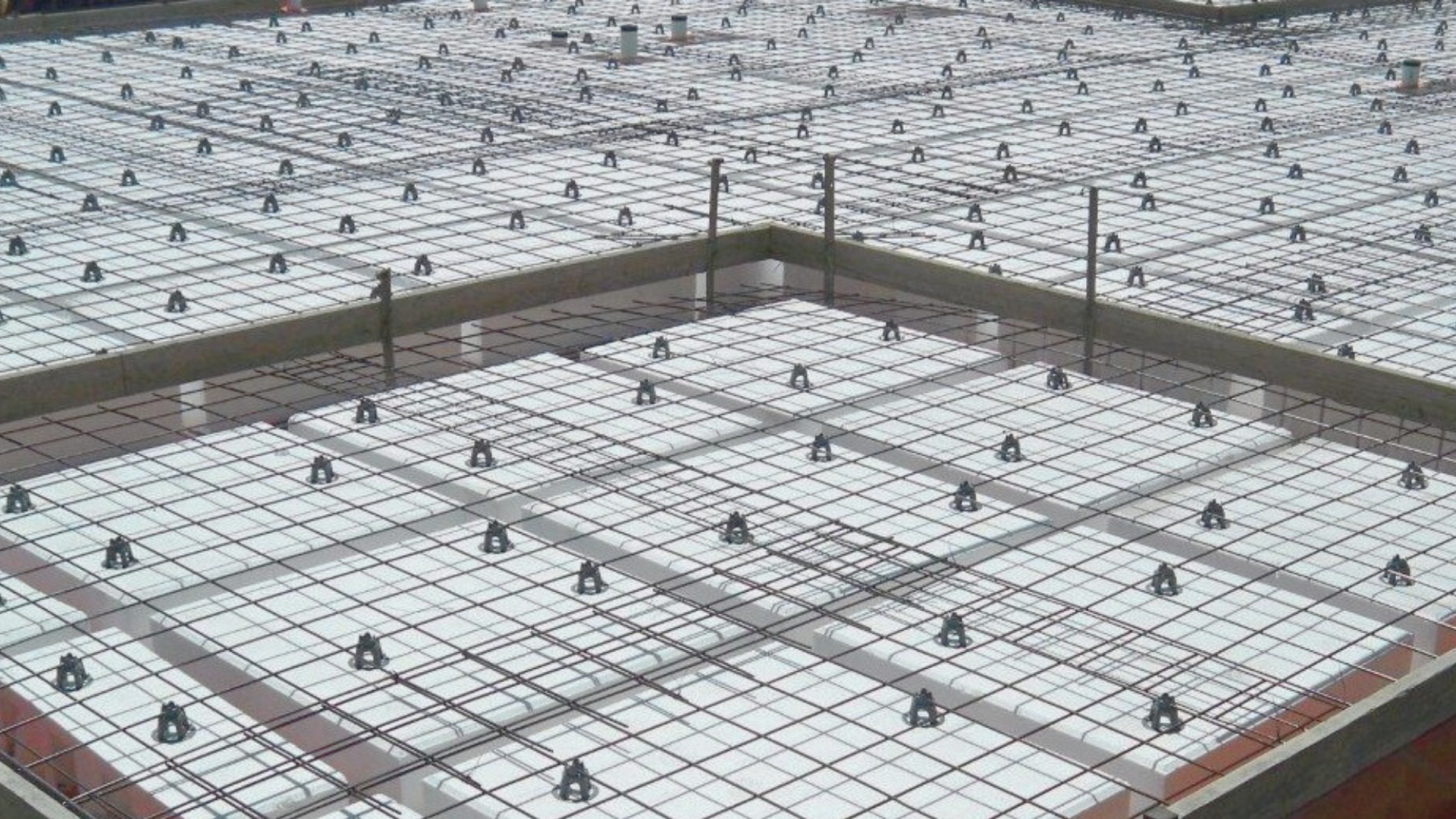 Concha y tapas de almeja prefabricadas vacías