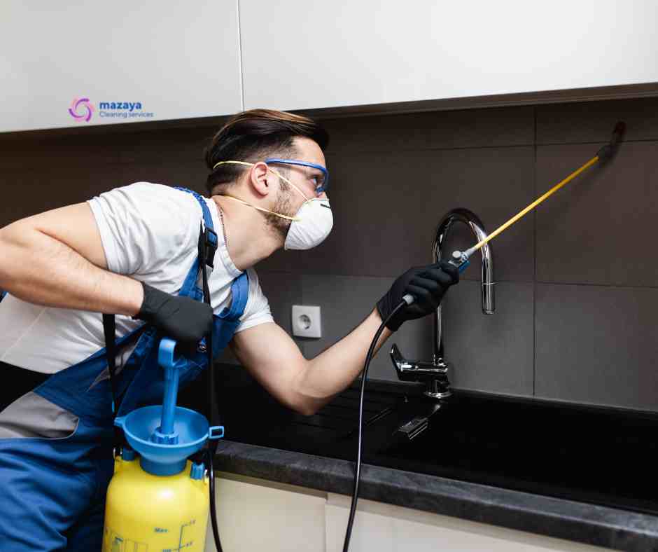 ارخص شركة مكافحة حشرات بالخبر