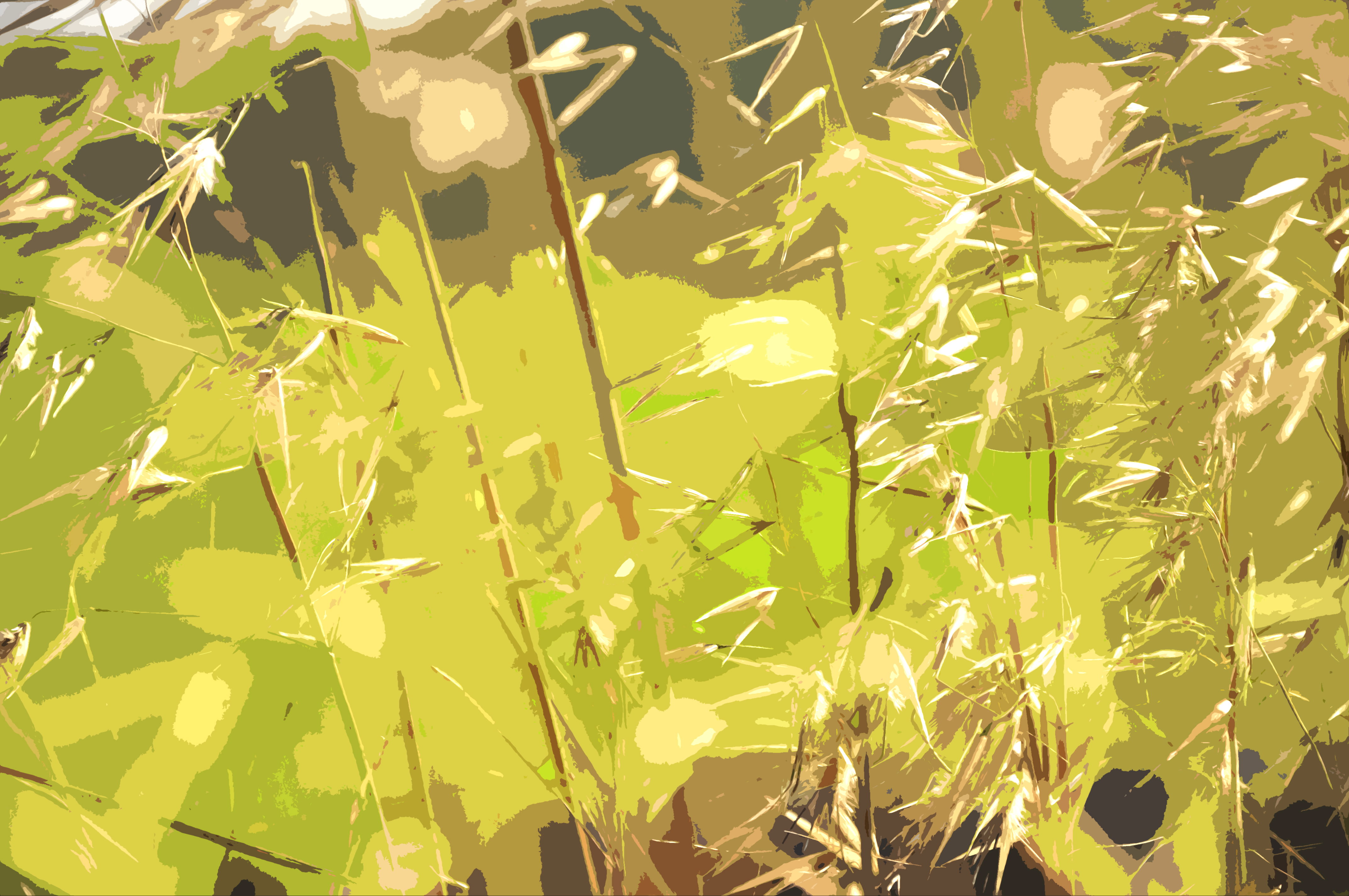 O amanhecer de um novo dia!