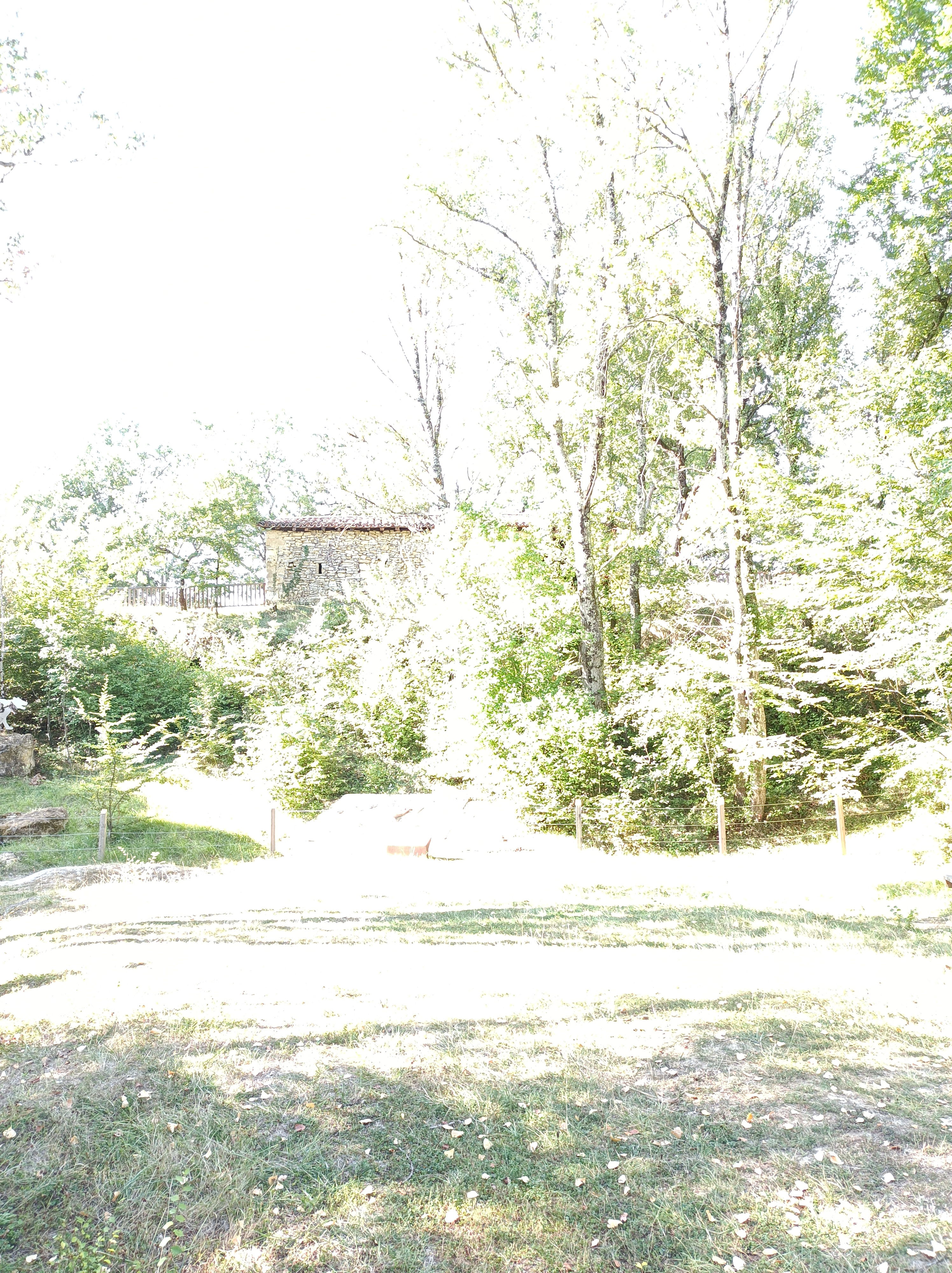 SITIO PALEONTOLOGICO