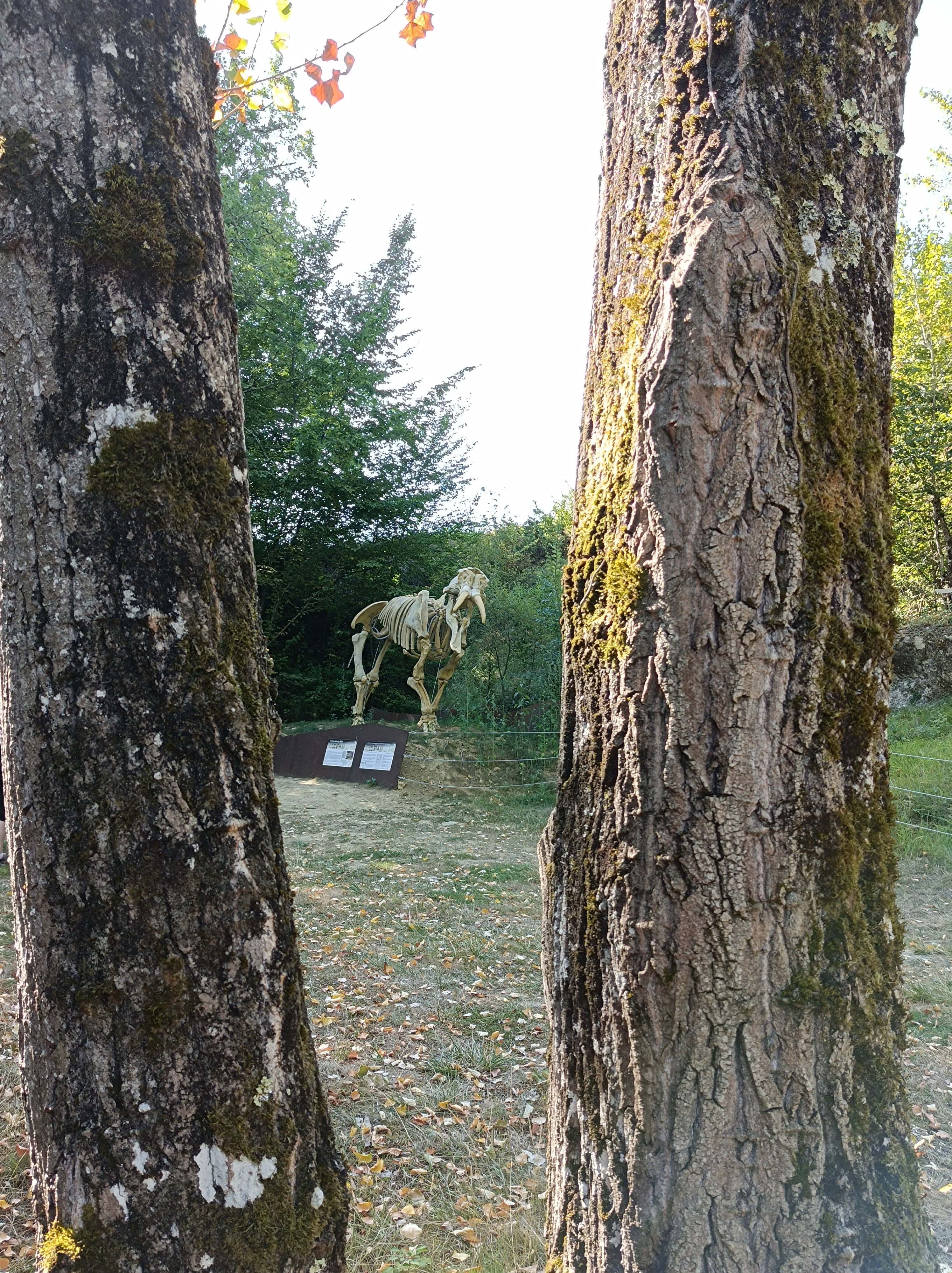 SITIO PALEONTOLOGICO