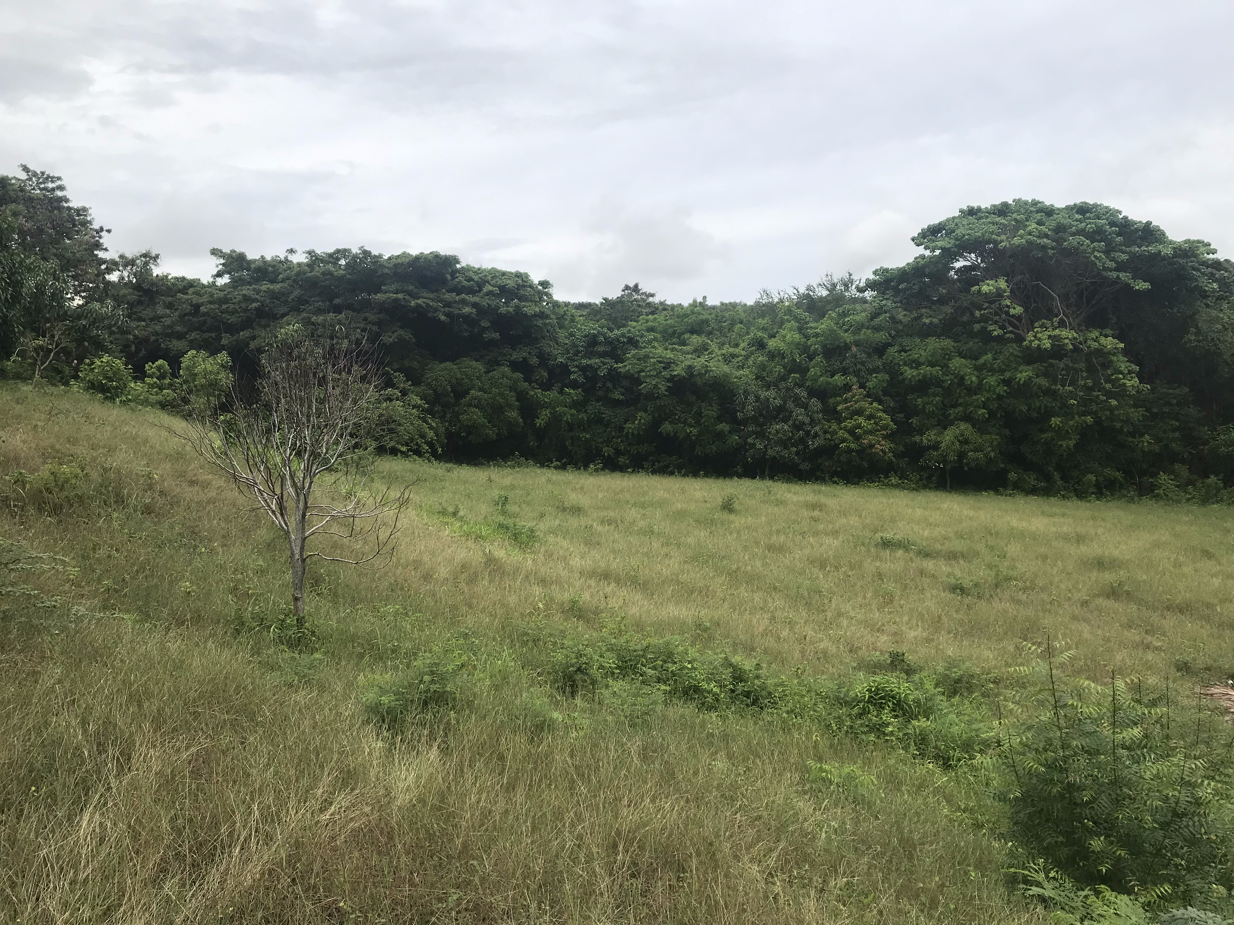 Yaguate - San Cristobal