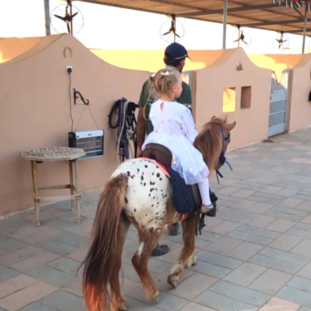 في نادي الجزيرة للفروسية