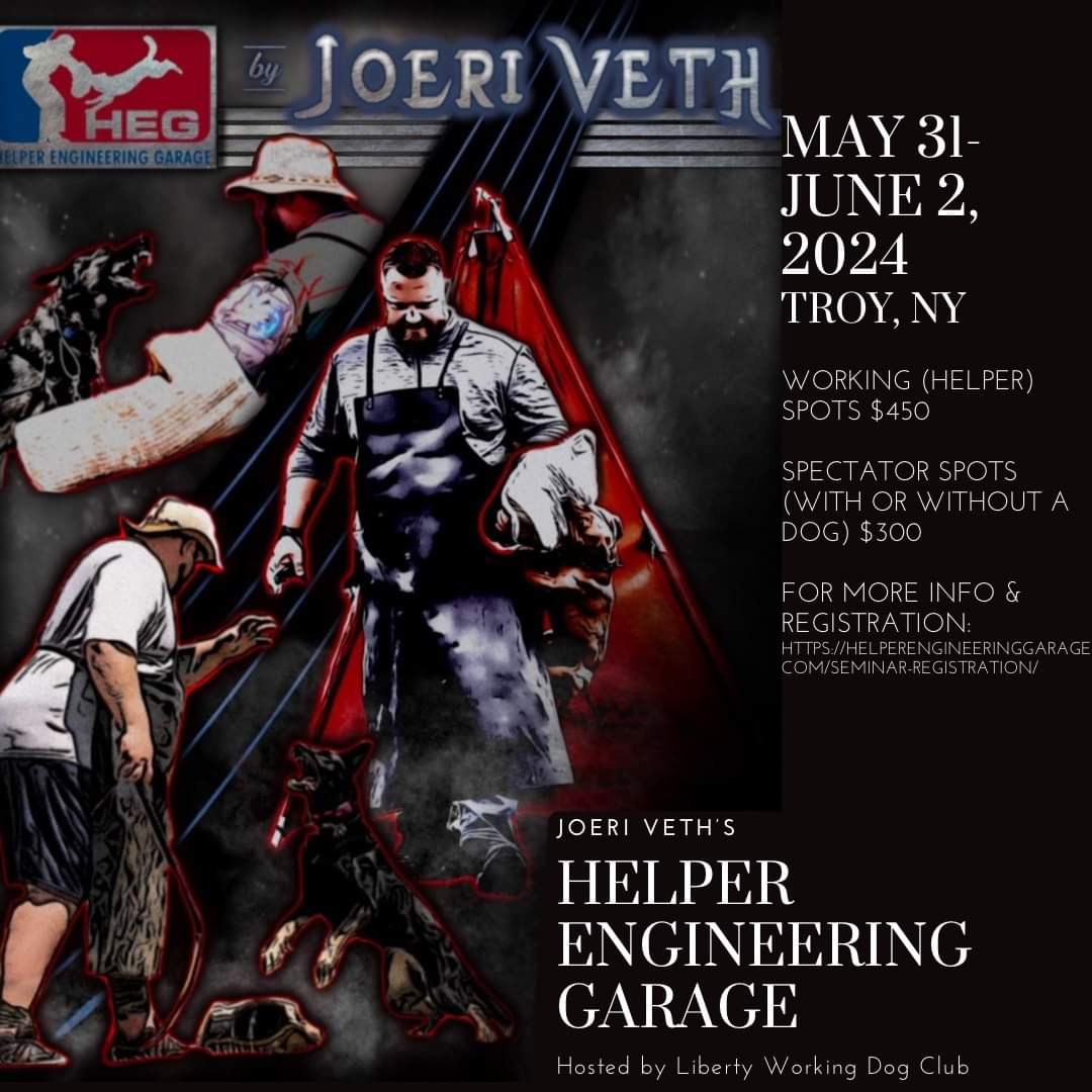 Joeri Veth helper Garage