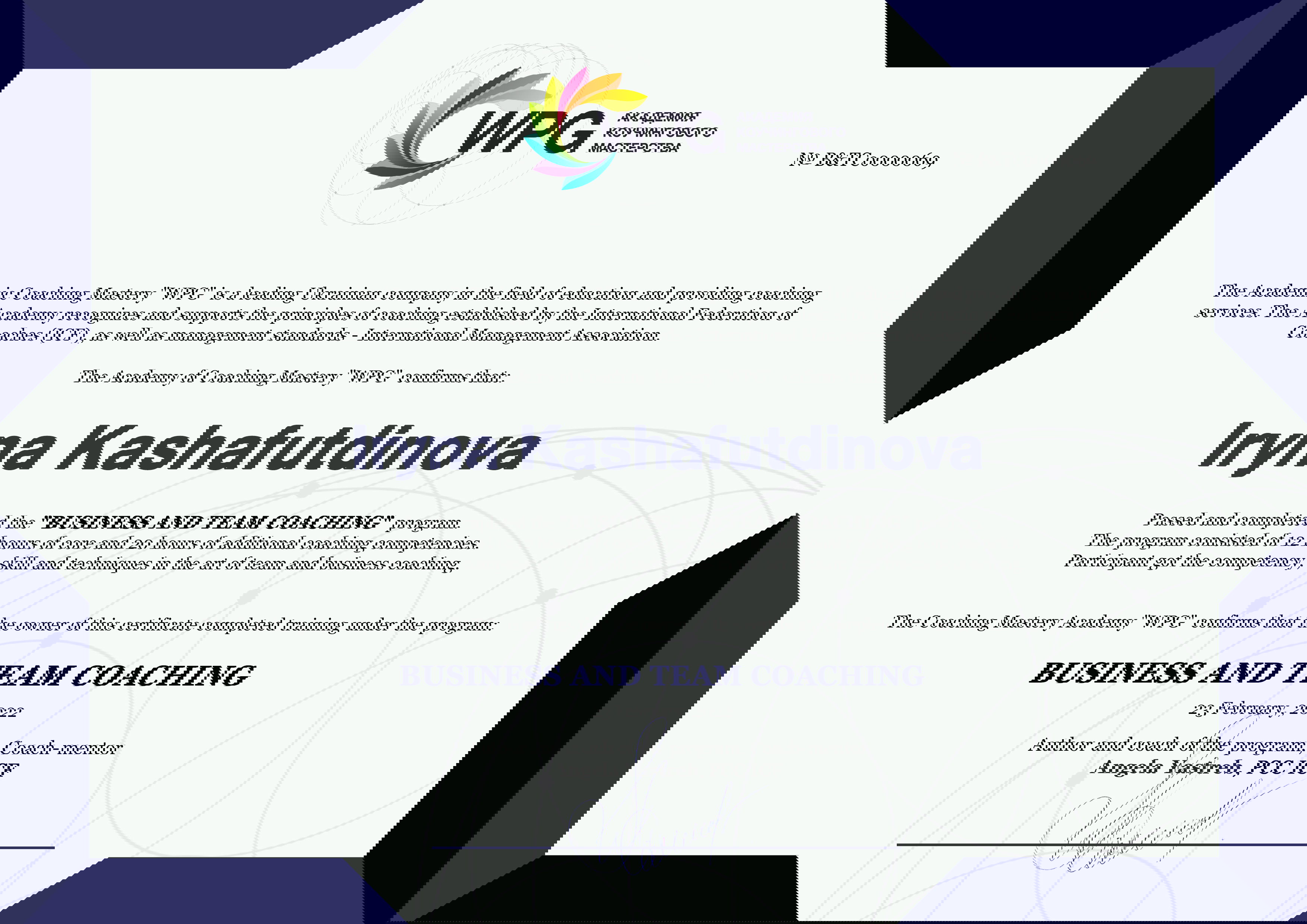 Business and team coaching